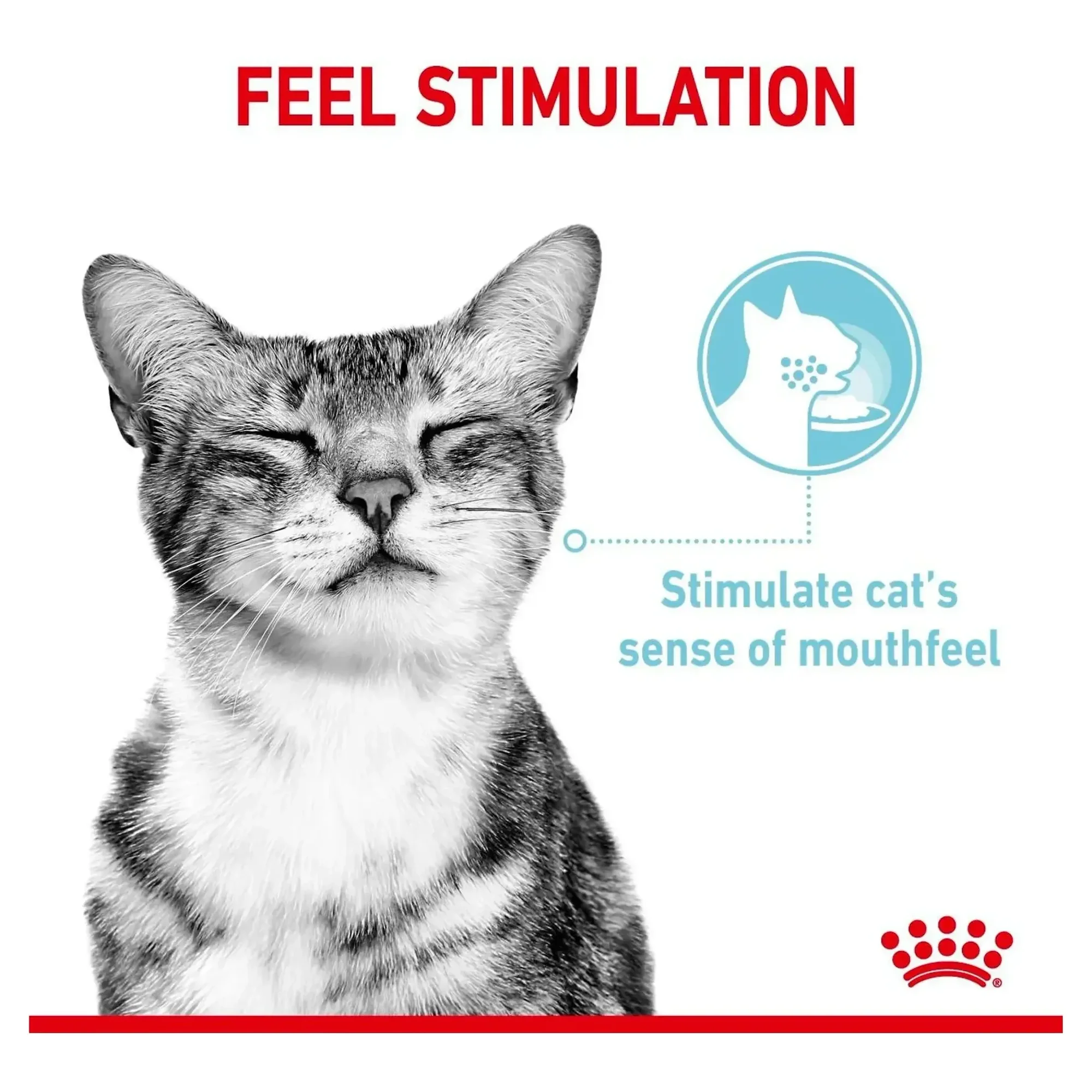 Royal Canin Royal Canin Sensory Feel Etli ve Balıklı Soslu Kedi Konservesi 85G — Normal, 90 g — Görsel 4