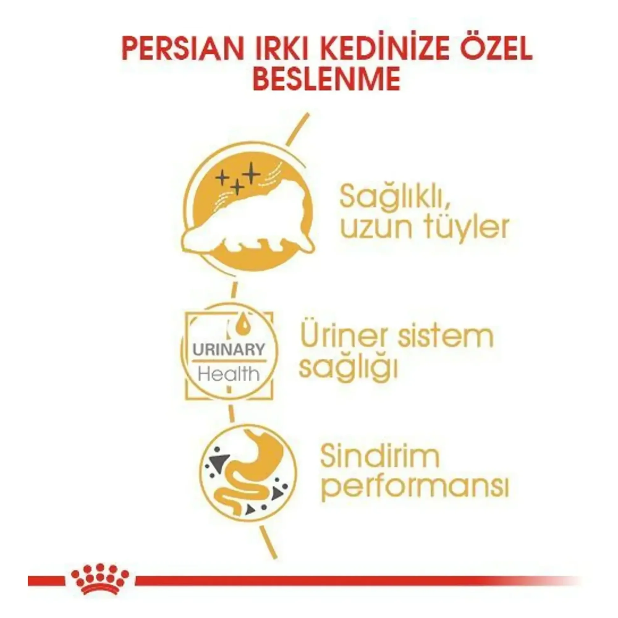 Royal Canin Royal Canin Persian Yetişkin Pouch Kedi Konservesi 85 G — Normal, 90 g — Görsel 4