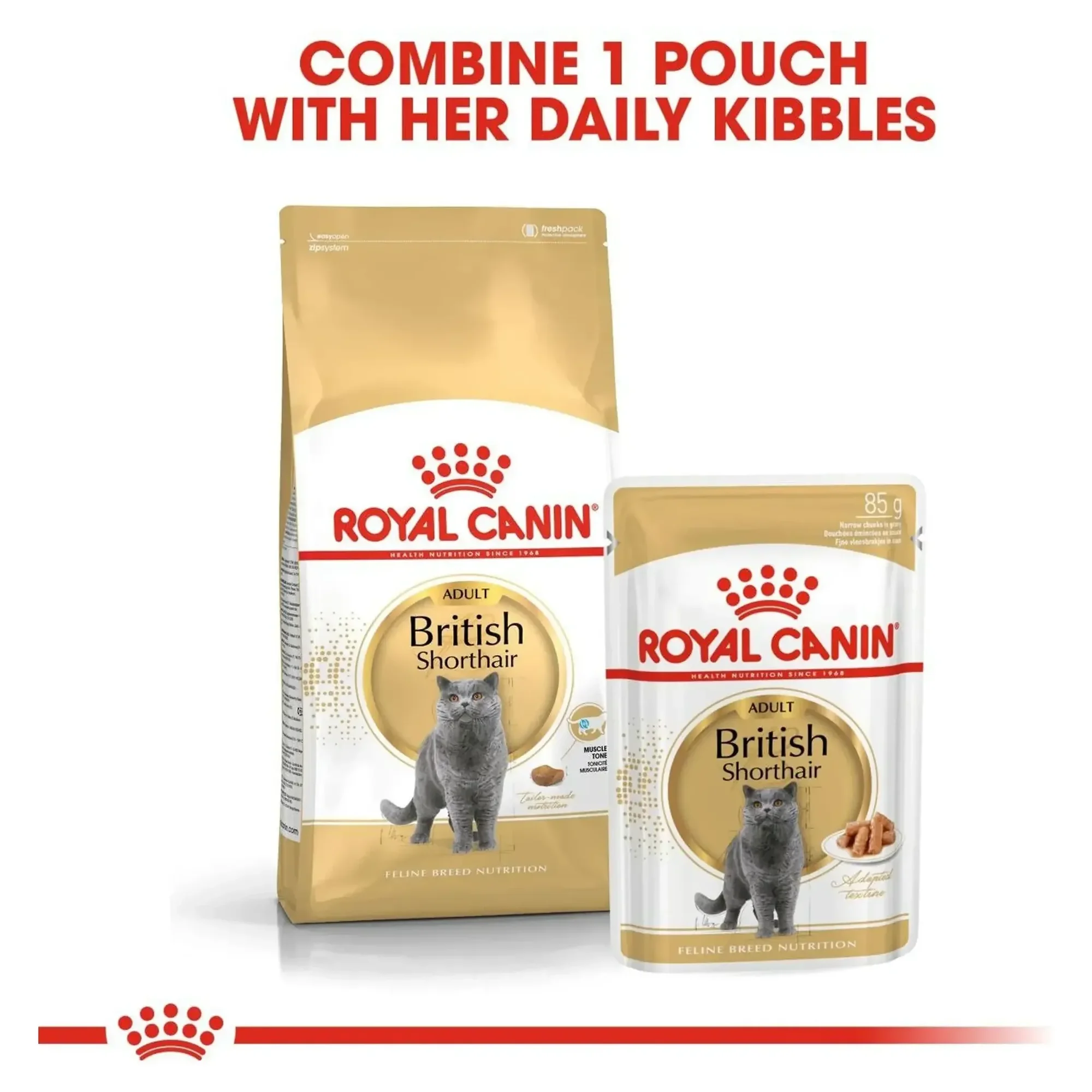 Royal Canin Royal Canin Pouch British Yetişkin Kedi Konservesi 85 G — Normal, 90 g — Görsel 5