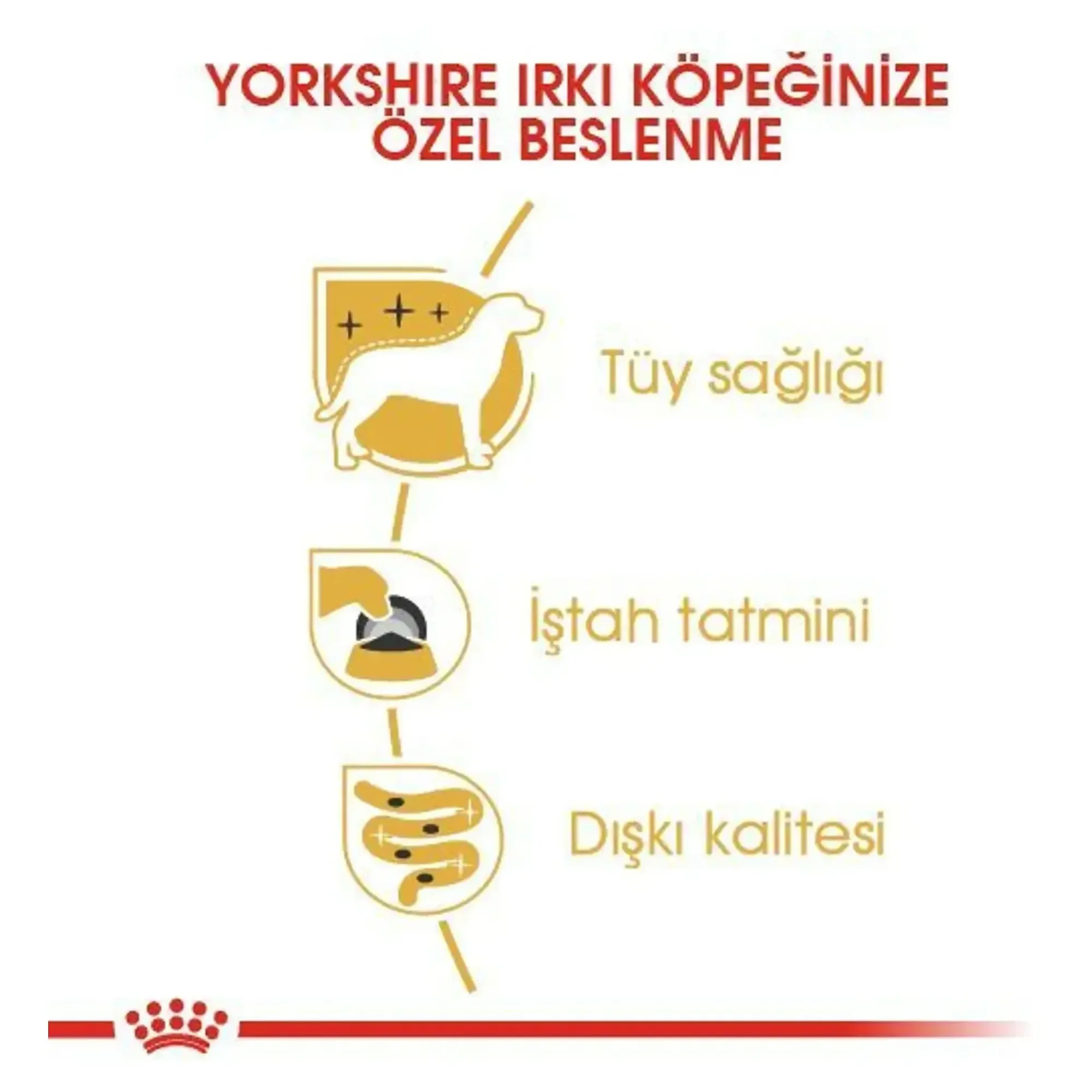 Royal Canin Royal Canin Yorkshire Terrier Yetişkin Köpek Konservesi 85 G — Normal, 90 g — Görsel 3