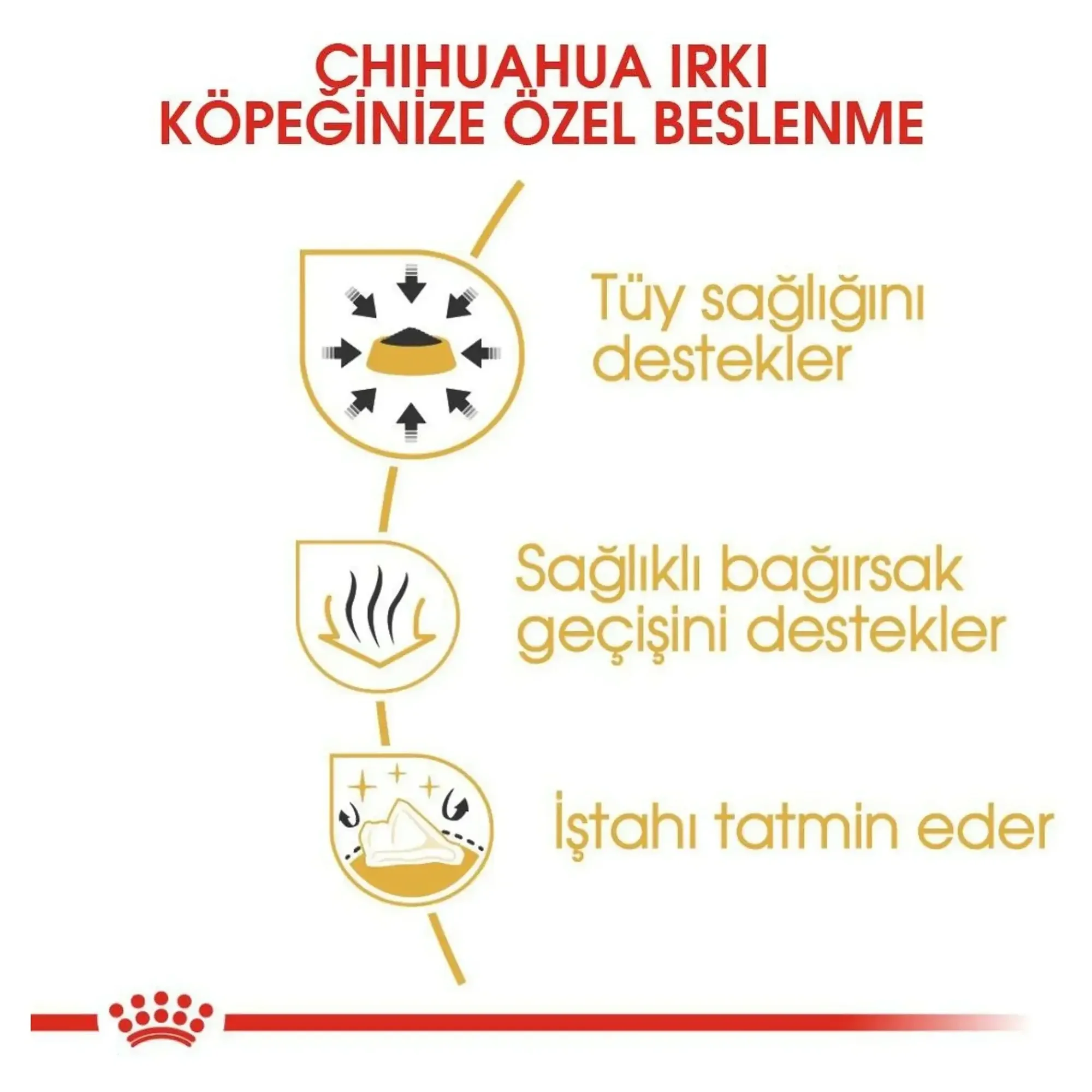 Royal Canin Royal Canin Chihuahua Yetişkin Köpek Konservesi 85 G — Normal, 90 g — Görsel 3