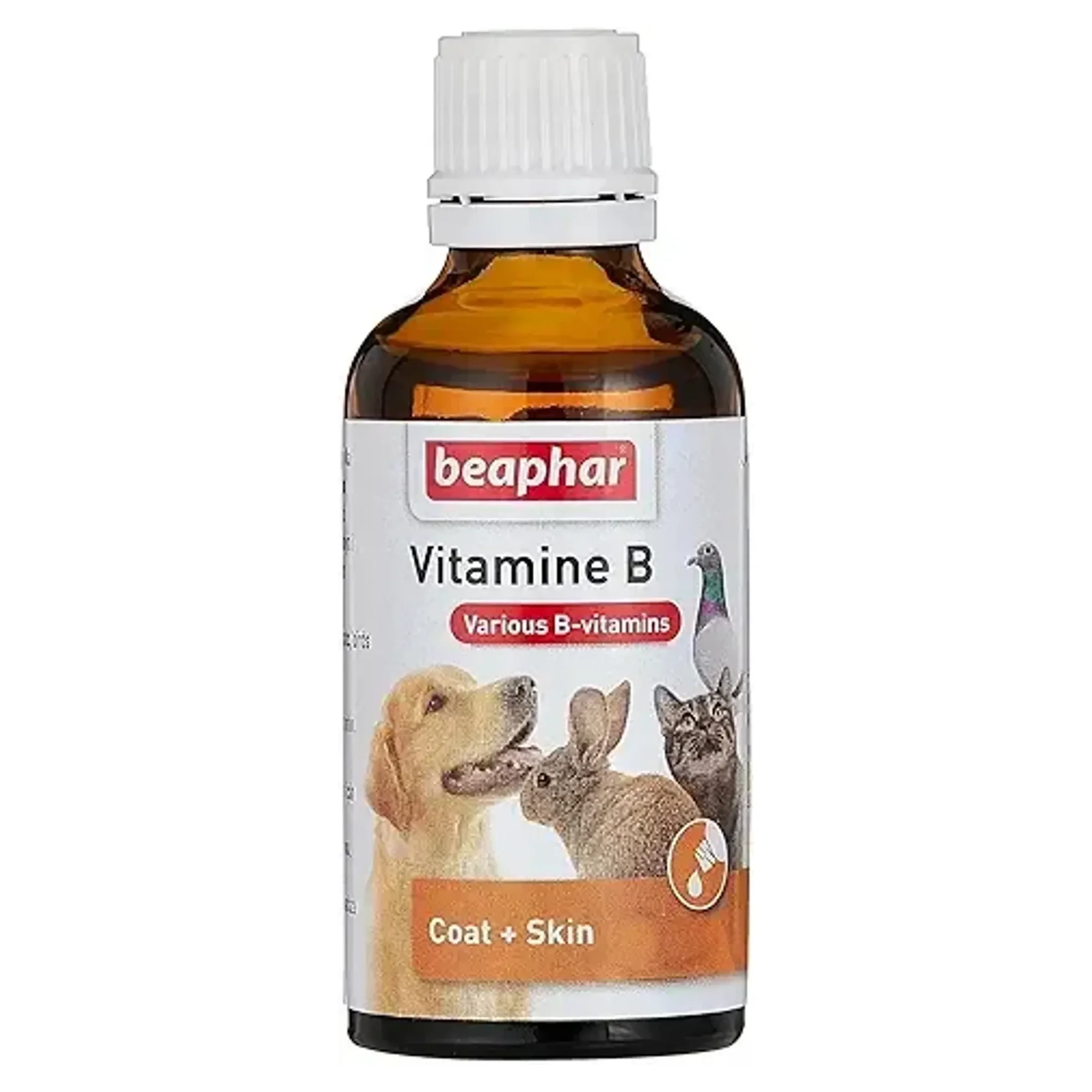 Beaphar Kedi-Köpek ve Kuşlar İçin Vitamin B Takviyesi 50 mL