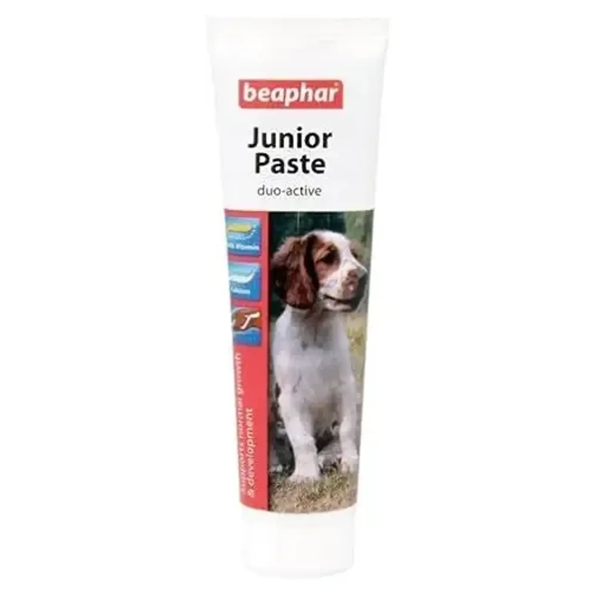 Beaphar Duo Active Yavru Köpek Vitaminli Macun 100 G