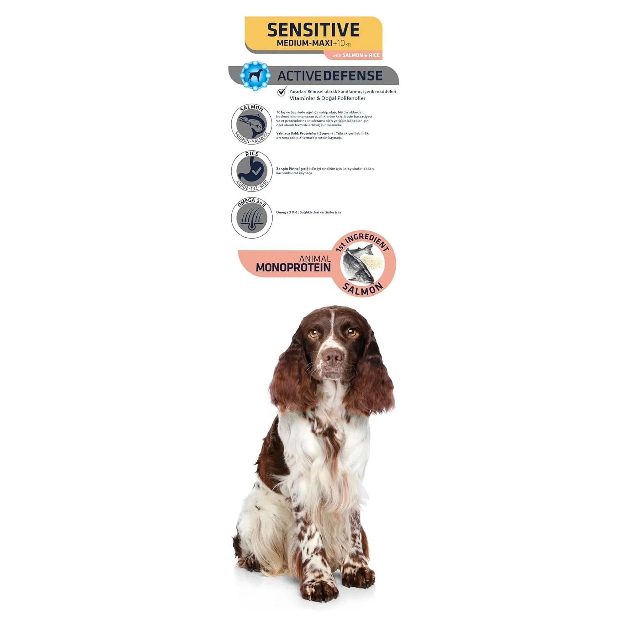 Advance Sensitive Somon ve Pirinç Hassas Sindirimli Yetişkin Köpek Maması 12 KG — Görsel 3