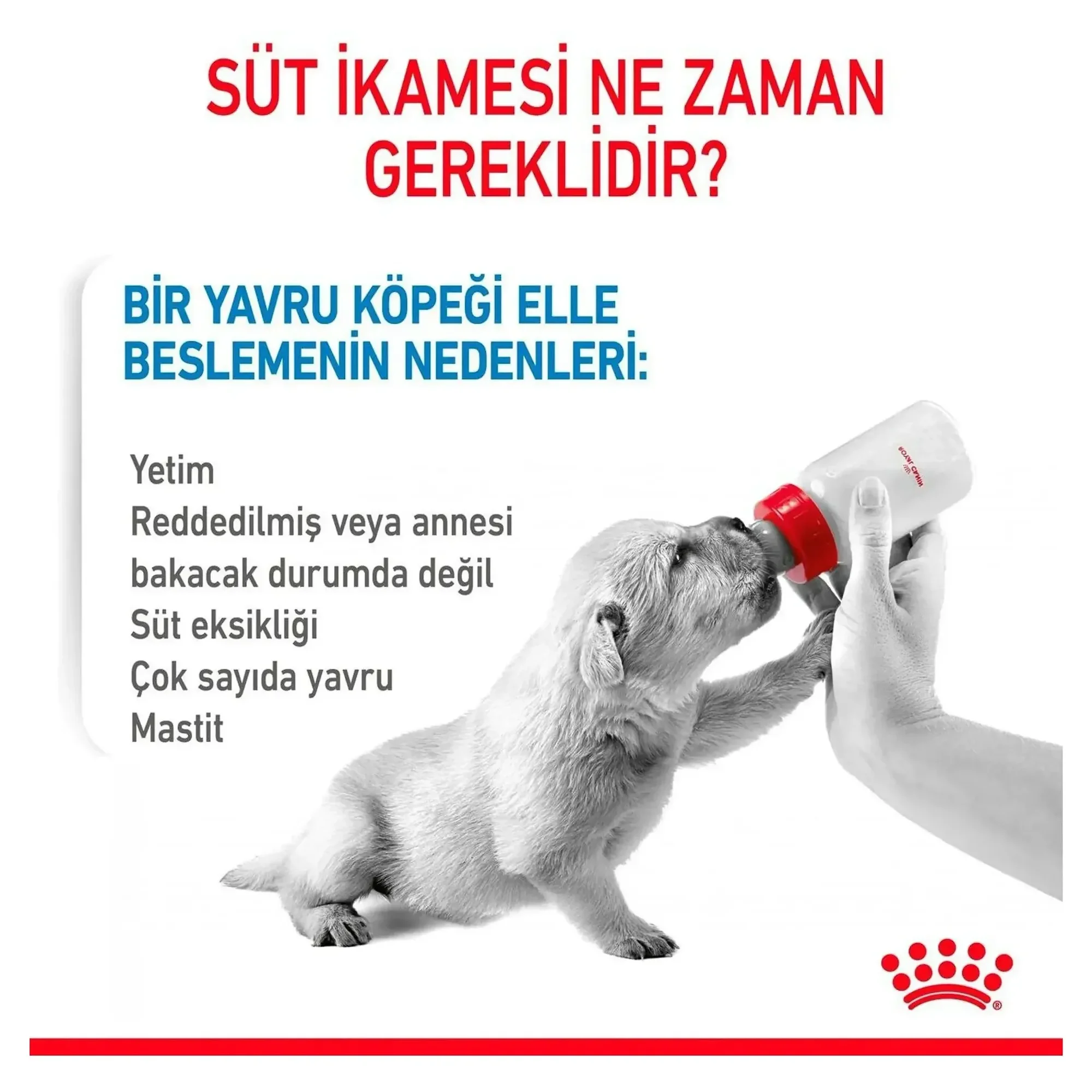 Royal Canin Royal Canin Babydog Milk Yavru Köpek Süt Tozu 400 G — Sağlık ve Bakım Ürünleri, 450 g — Görsel 4