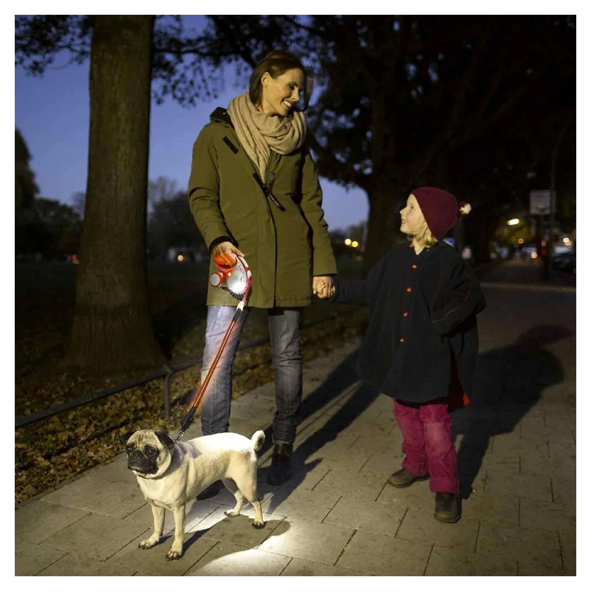 Flexi Siyah Led Işık Sistemli Köpek Tasma Aksesuarı — Giyim ve Aksesuar, 180 g — Görsel 6