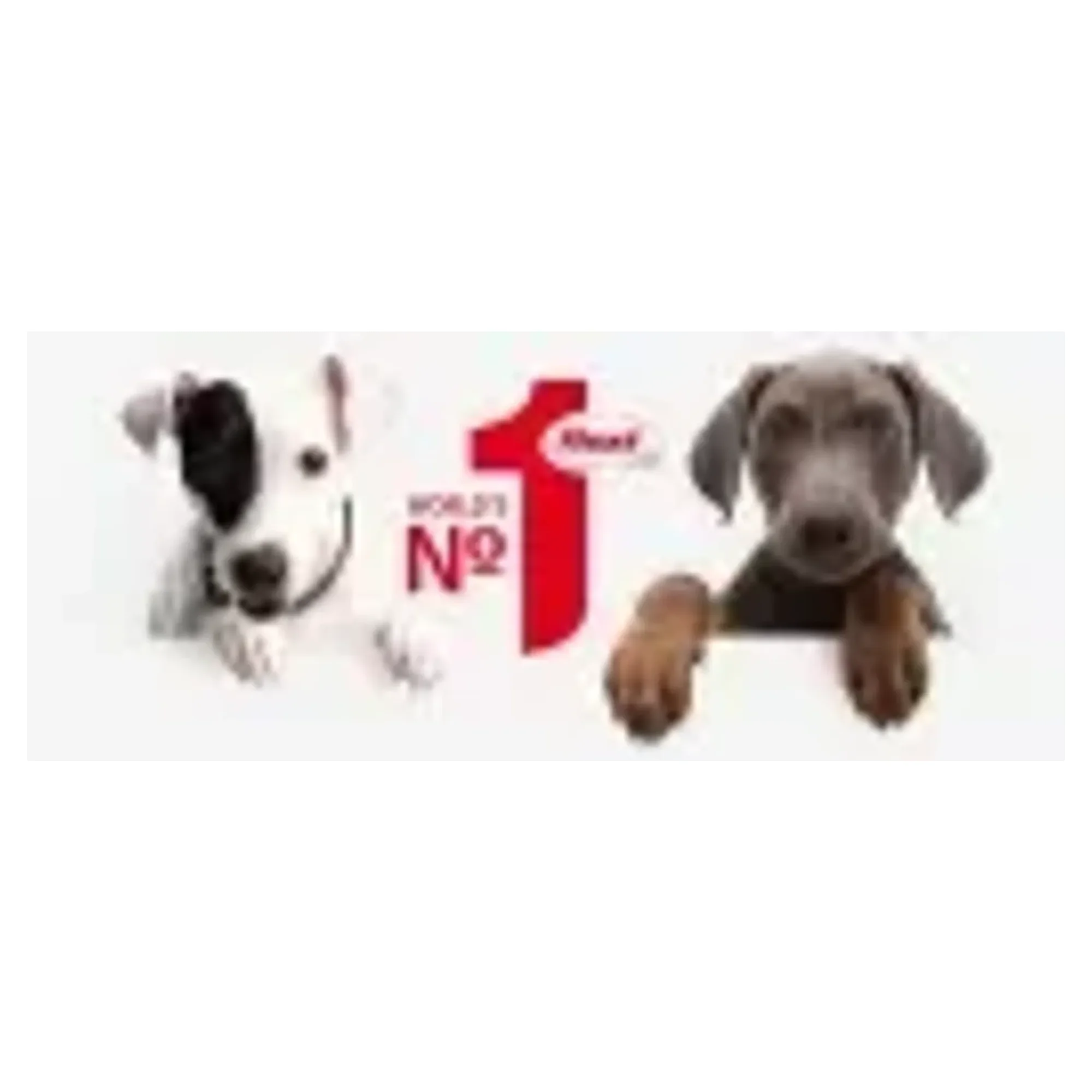 Flexi Comfort Plus Antrasit M Beden Şerit Köpek Gezdirme Kayışı 5 M — Gezdirme Kayışları, 330 g — Görsel 3