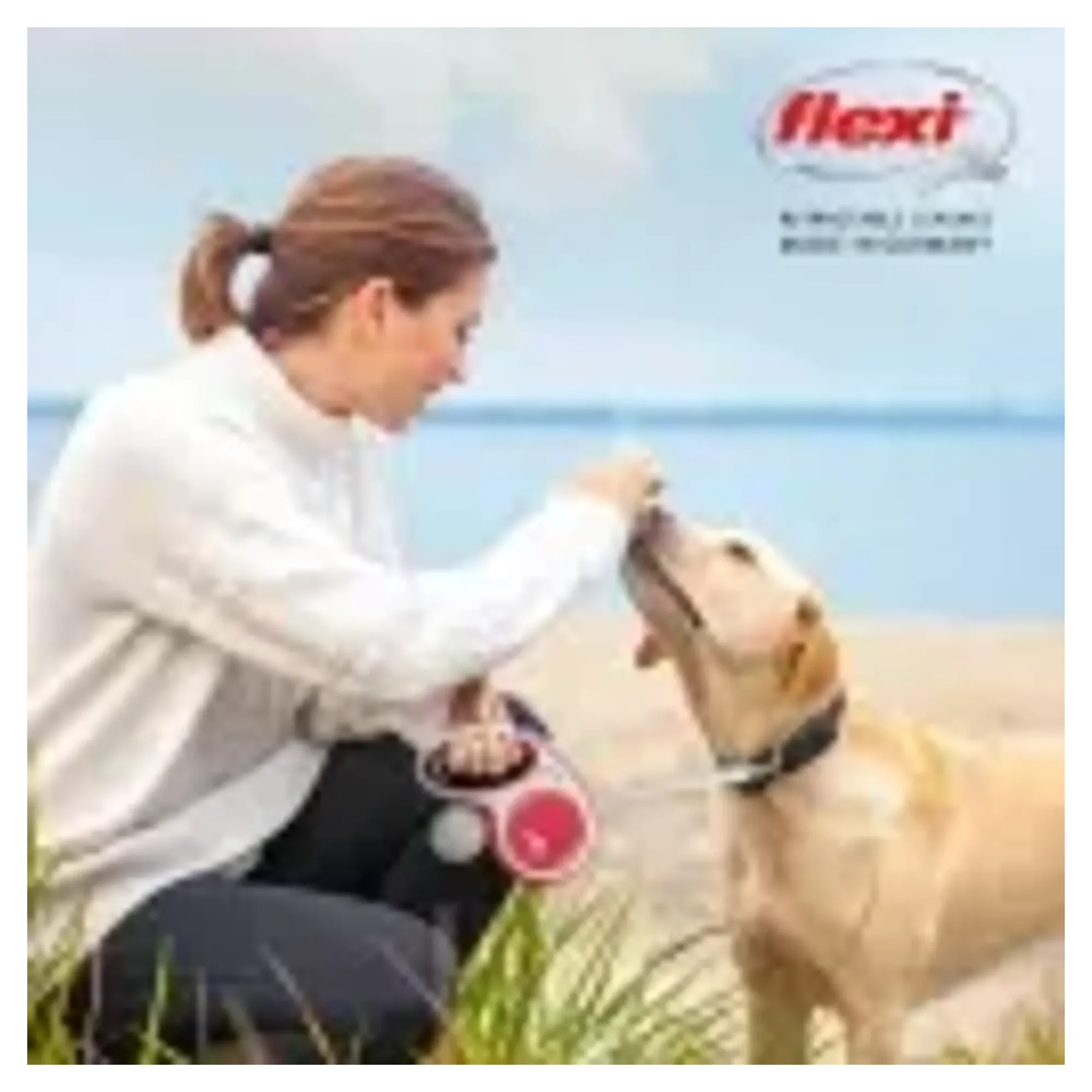 Flexi Comfort Plus Yeşil M Beden Köpek Gezdirme Kayışı 5 M — Gezdirme Kayışları, 330 g — Görsel 2