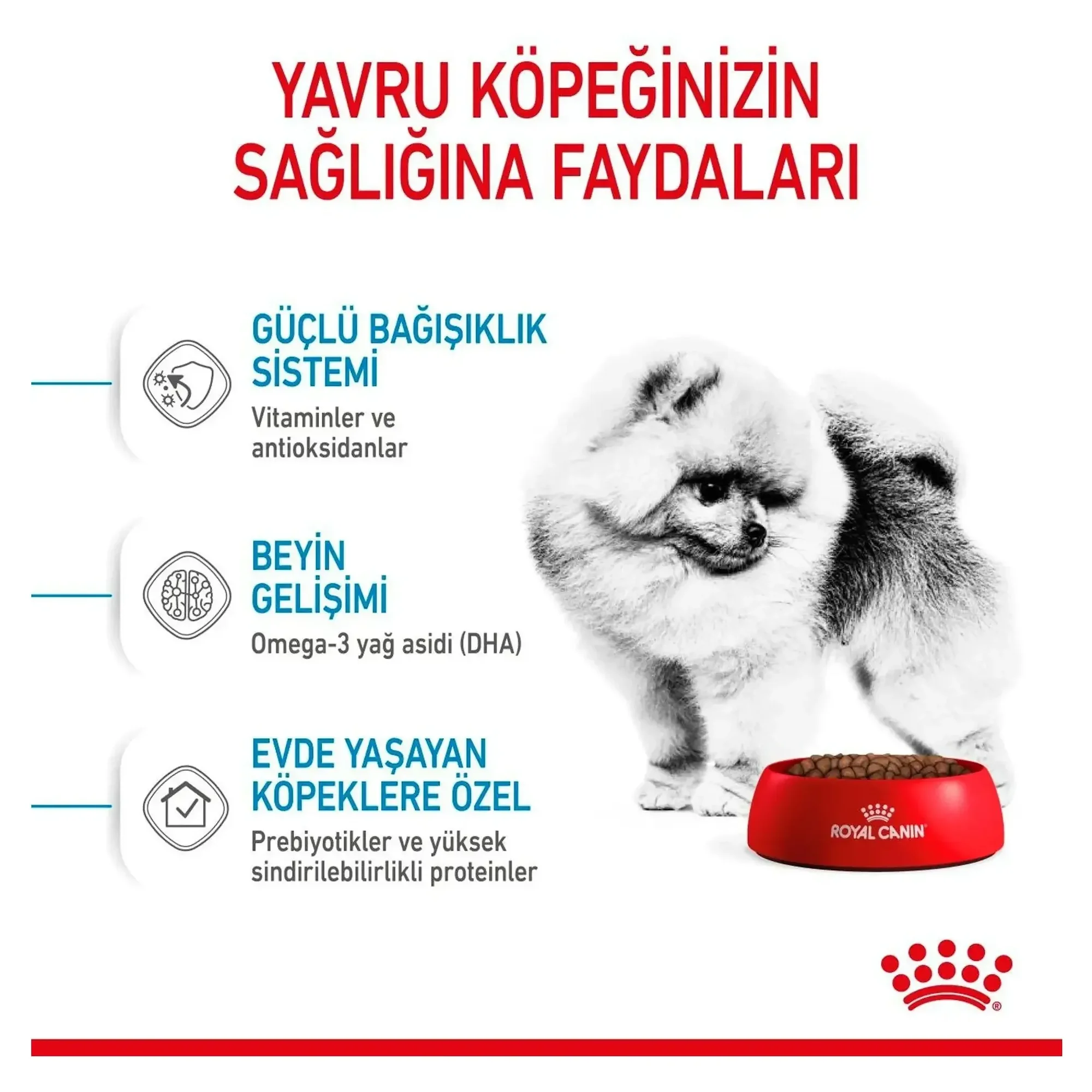 Royal Canin Royal Canin Mini Indoor Küçük Irk Yavru Köpek Maması 1.5 KG — Normal, 1.6 kg — Görsel 4