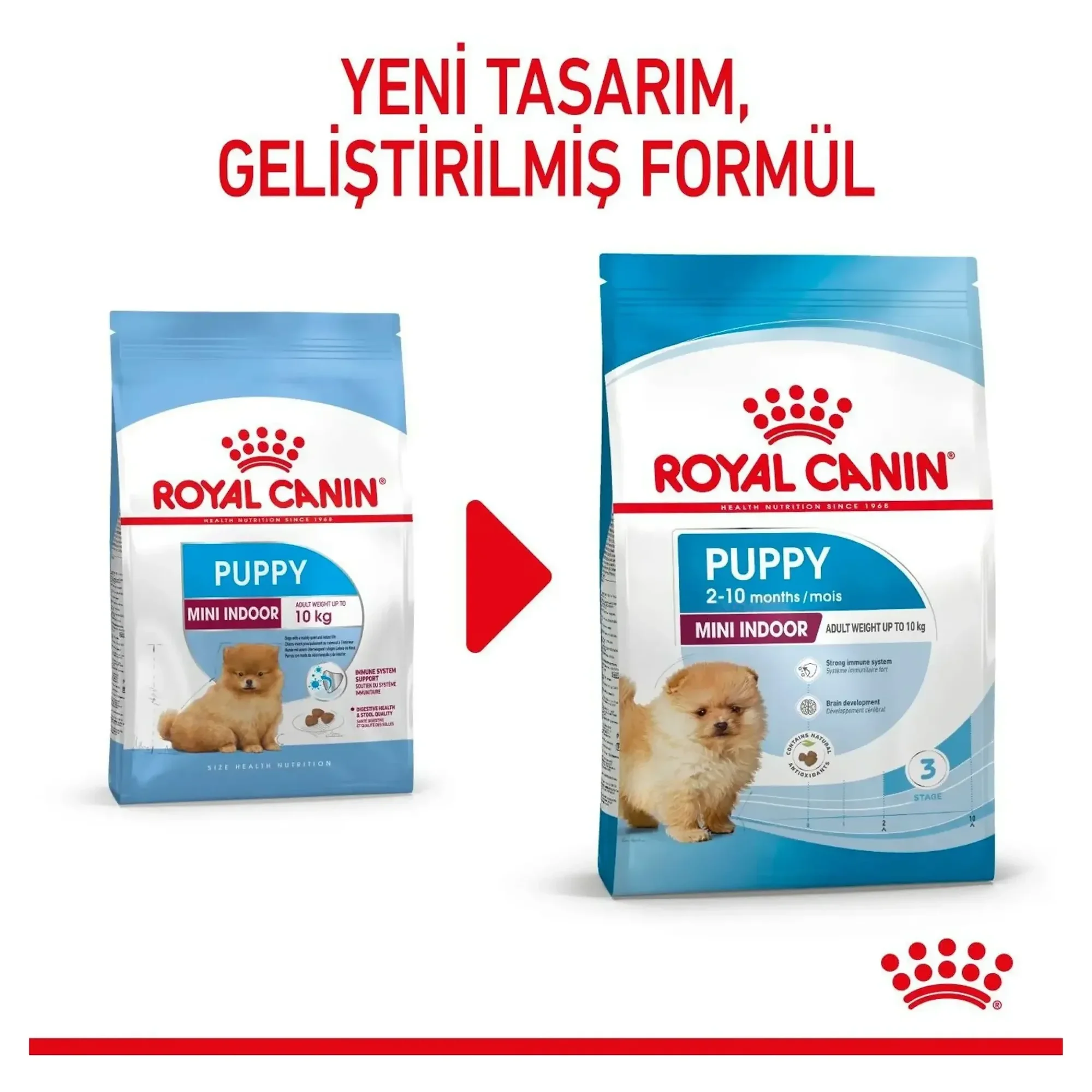 Royal Canin Royal Canin Mini Indoor Küçük Irk Yavru Köpek Maması 1.5 KG — Normal, 1.6 kg — Görsel 5