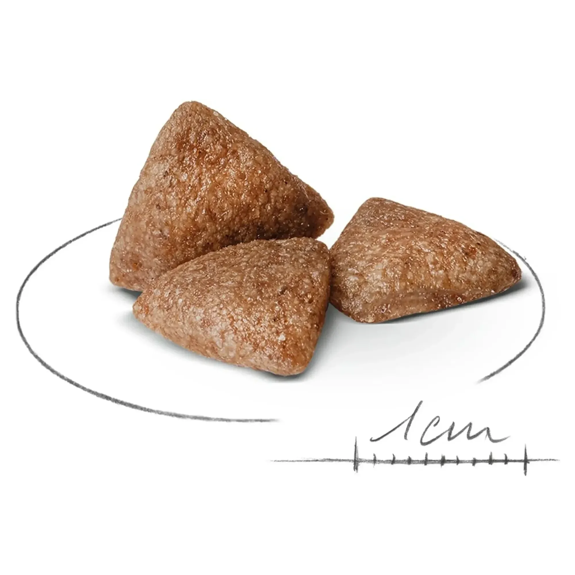Royal Canin Royal Canin Mini Indoor Adult Yetişkin Köpek Maması 1.5 KG — Normal, 1.6 kg — Görsel 2
