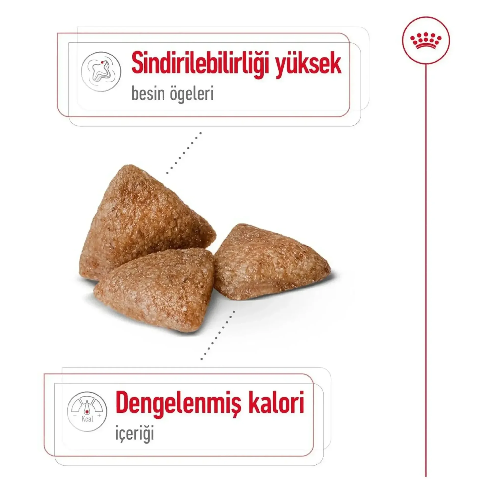 Royal Canin Royal Canin Mini Indoor Adult Yetişkin Köpek Maması 1.5 KG — Normal, 1.6 kg — Görsel 4