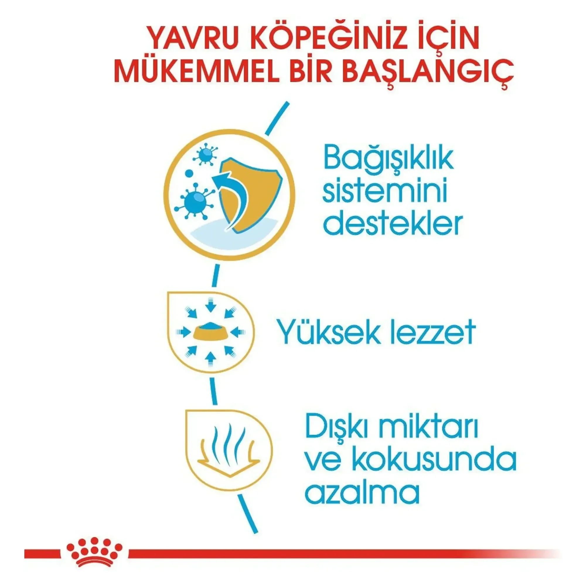 Royal Canin Royal Canin Puppy Chihuahua Yavru Köpek Maması 1.5 KG — Normal, 1.6 kg — Görsel 3
