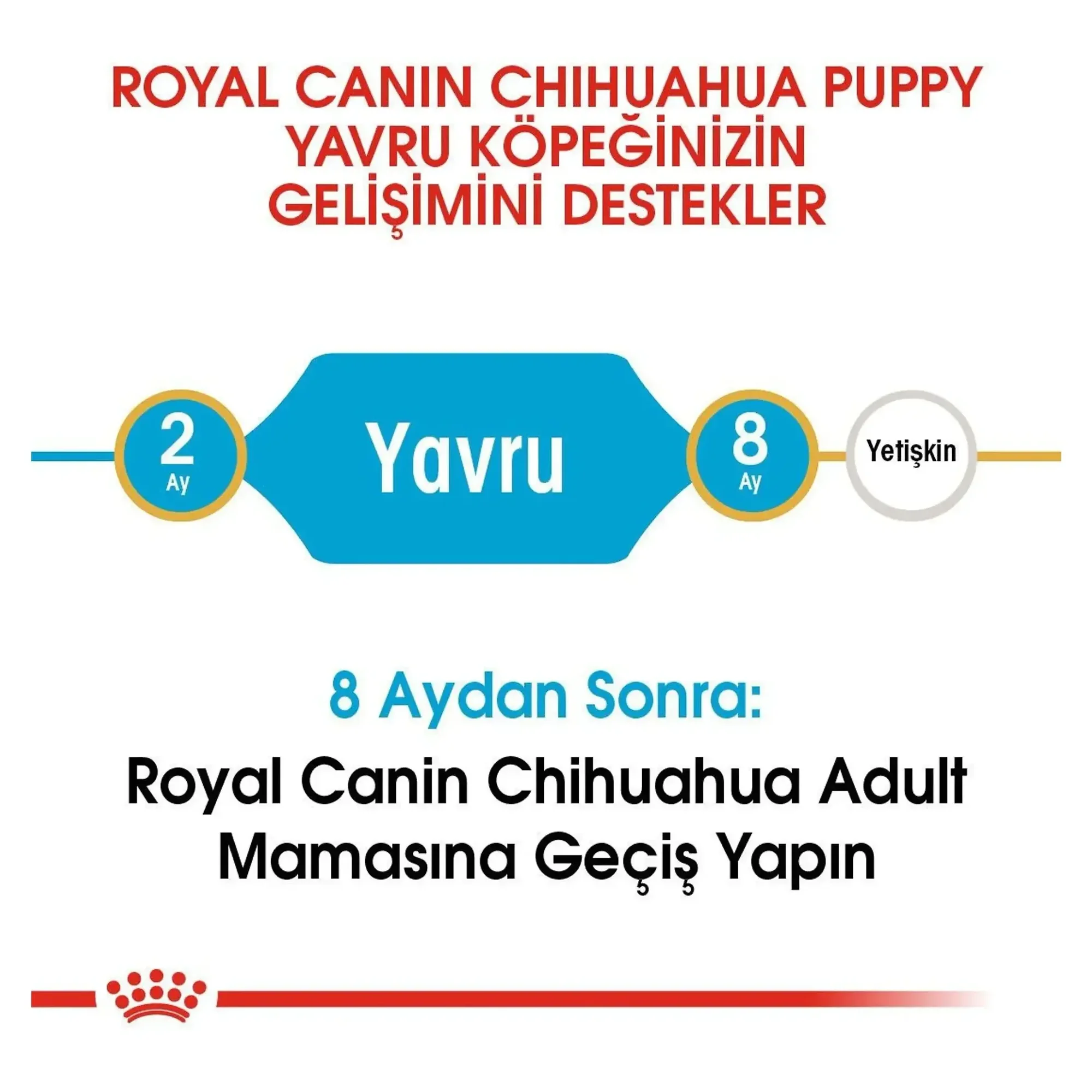 Royal Canin Royal Canin Puppy Chihuahua Yavru Köpek Maması 1.5 KG — Normal, 1.6 kg — Görsel 4