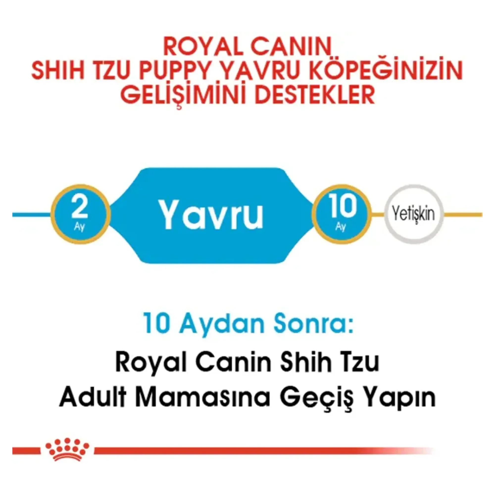 Royal Canin Royal Canin Shih Tzu Yavru Köpek Maması 1.5 KG — Normal, 1.6 kg — Görsel 3