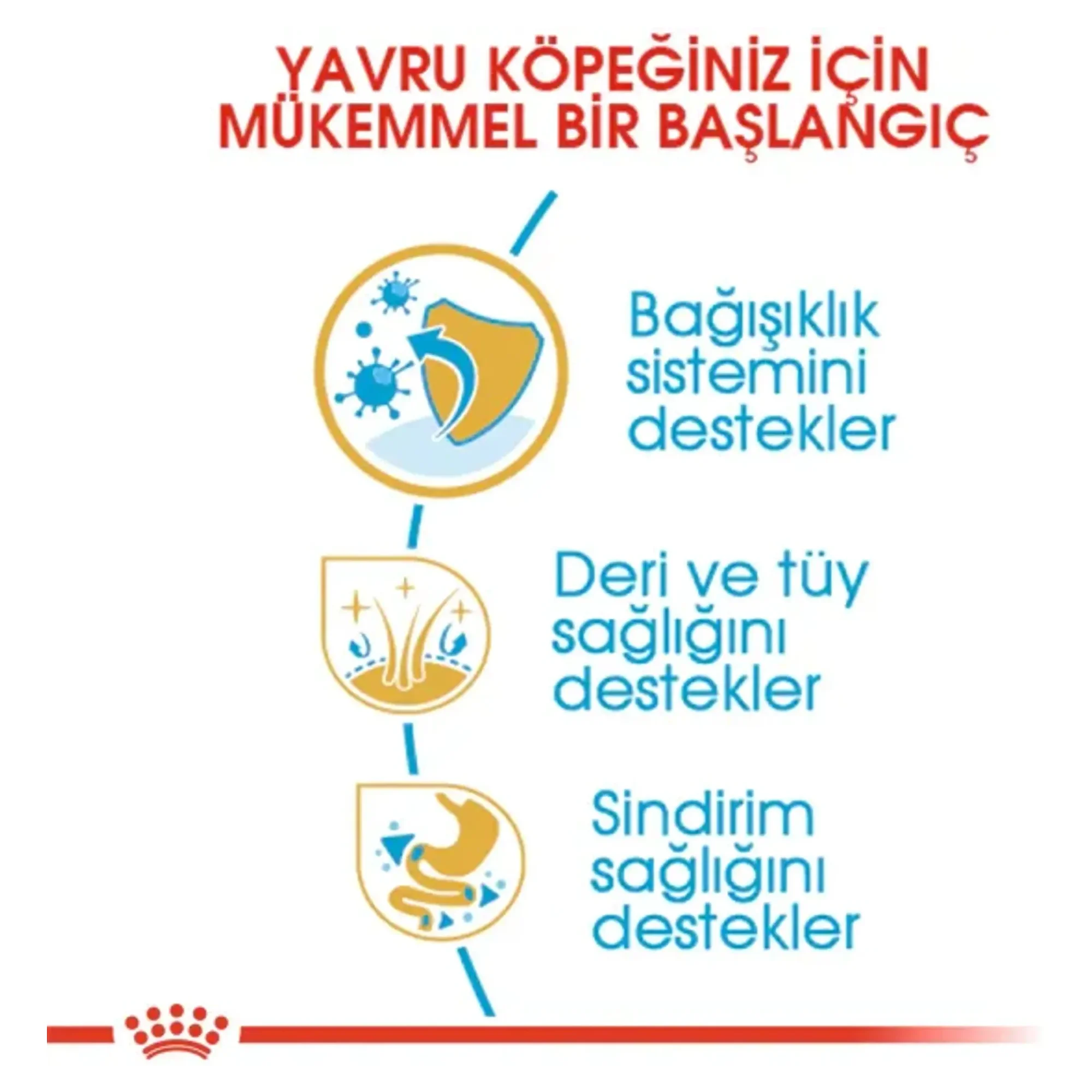 Royal Canin Royal Canin Shih Tzu Yavru Köpek Maması 1.5 KG — Normal, 1.6 kg — Görsel 4