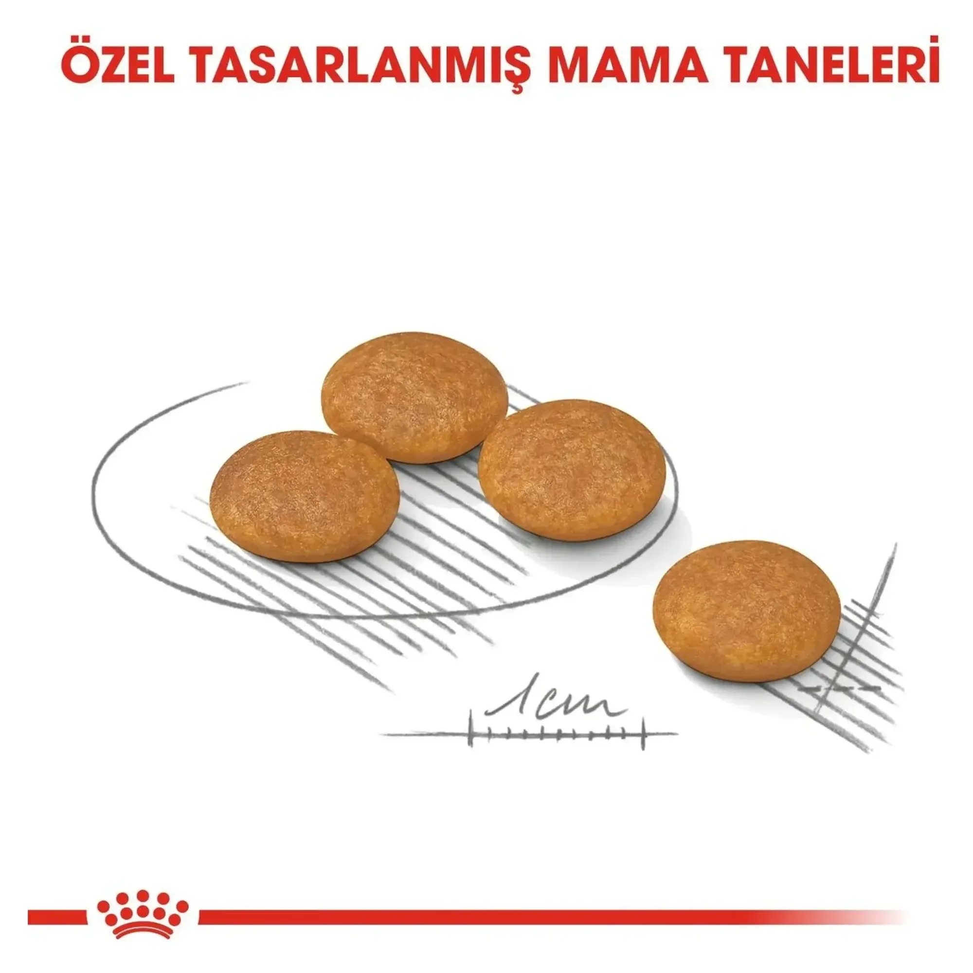 Royal Canin Royal Canin Dermacomfort Mini Yetişkin Köpek Maması 3 KG — Normal, 3.1 kg — Görsel 3
