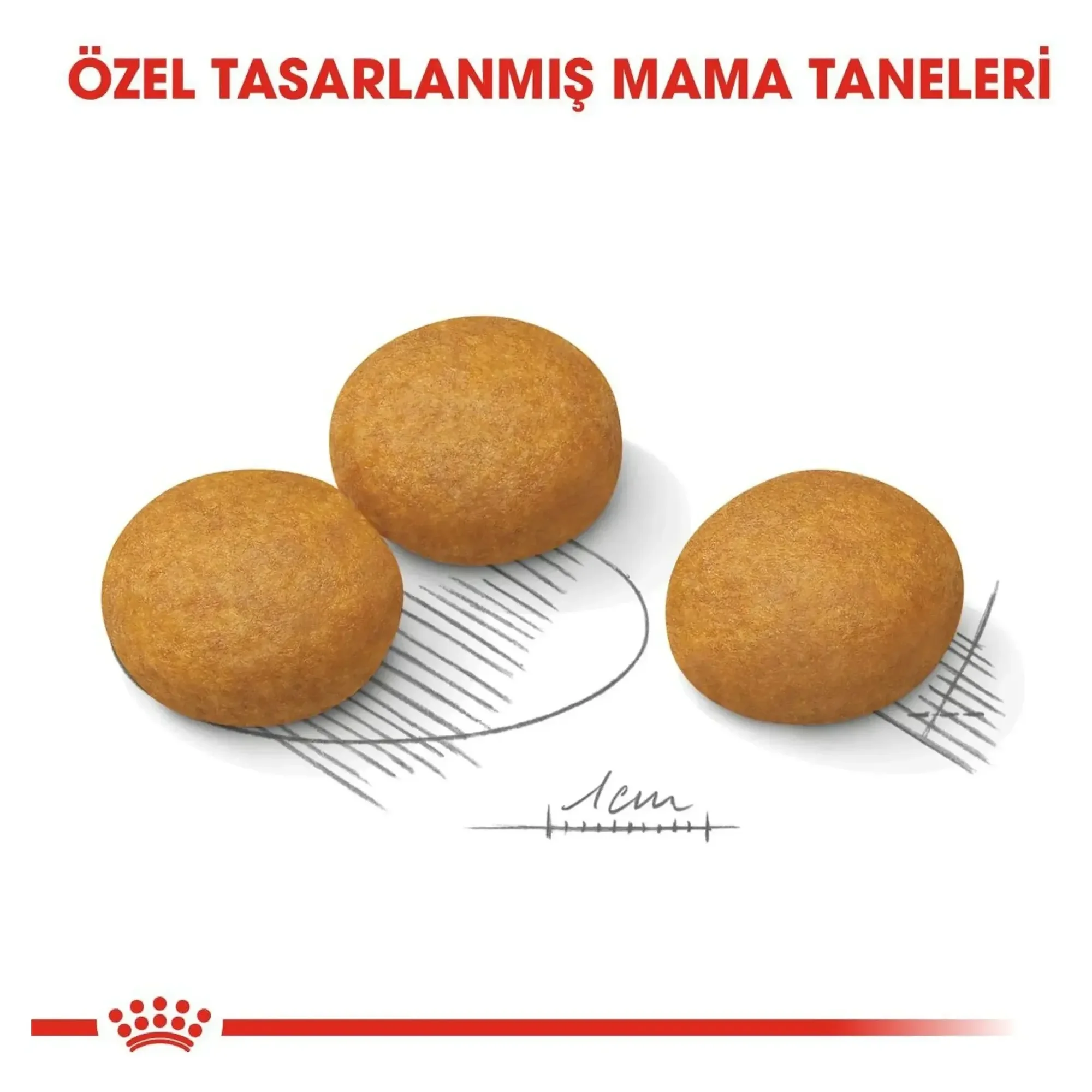 Royal Canin Royal Canin Medium Dermacomfort Deri ve Tüy Sağlığı için Orta Irk Yetişkin Köpek Maması 12 KG — Normal, 12.2 kg — Görsel 5