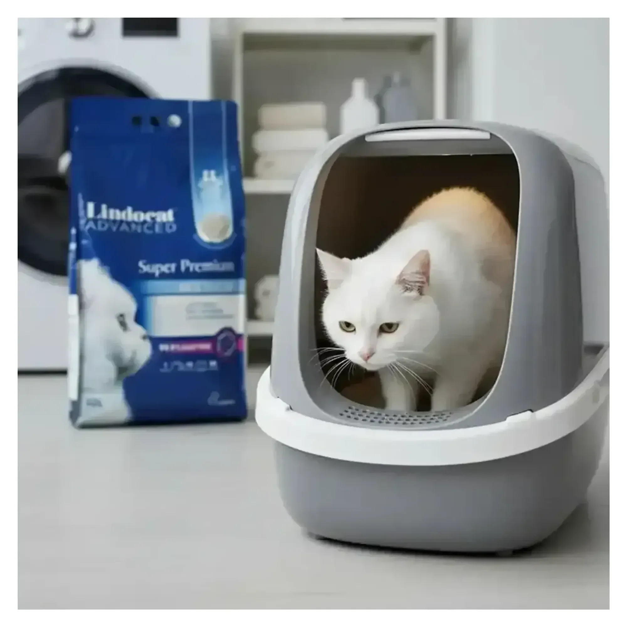Lindocat Lindocat Super Premium Extra Güçlü Topaklanan Kokusuz Bentonit Kedi Kumu 10 L — 9.2 kg — Görsel 2