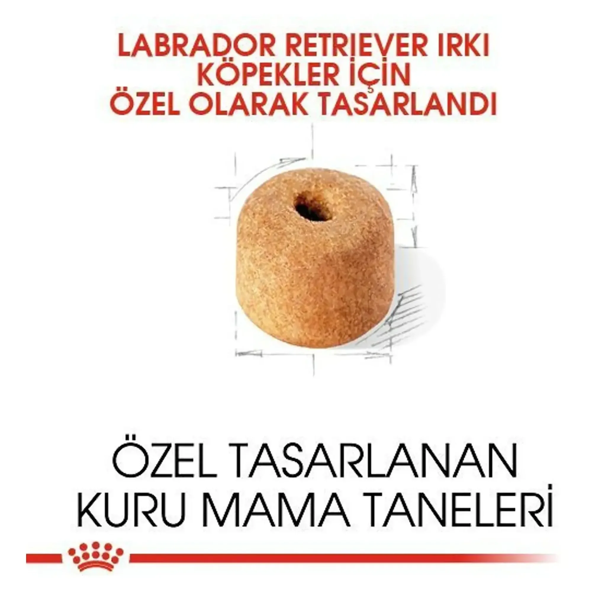 Royal Canin Royal Canin Adult Labrador Retriever Yetişkin Köpek Maması 12 KG — Normal, 12.5 kg — Görsel 4
