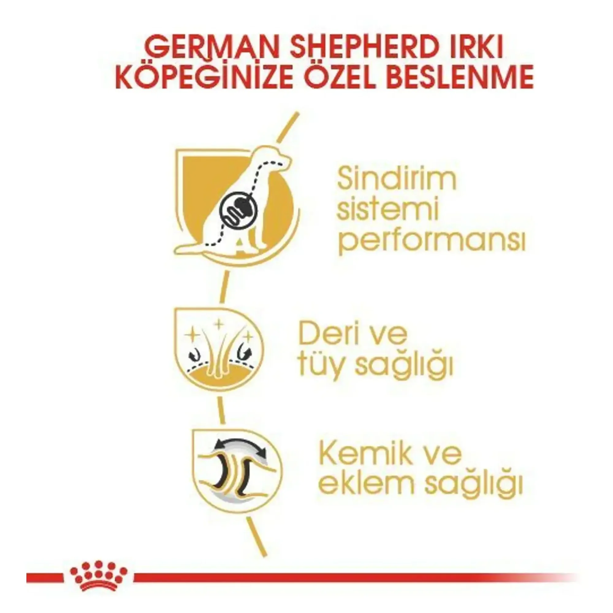 Royal Canin Royal Canin Alman Çoban Köpeği Yetişkin Köpek Maması 11 KG — Normal, 11.3 kg — Görsel 3