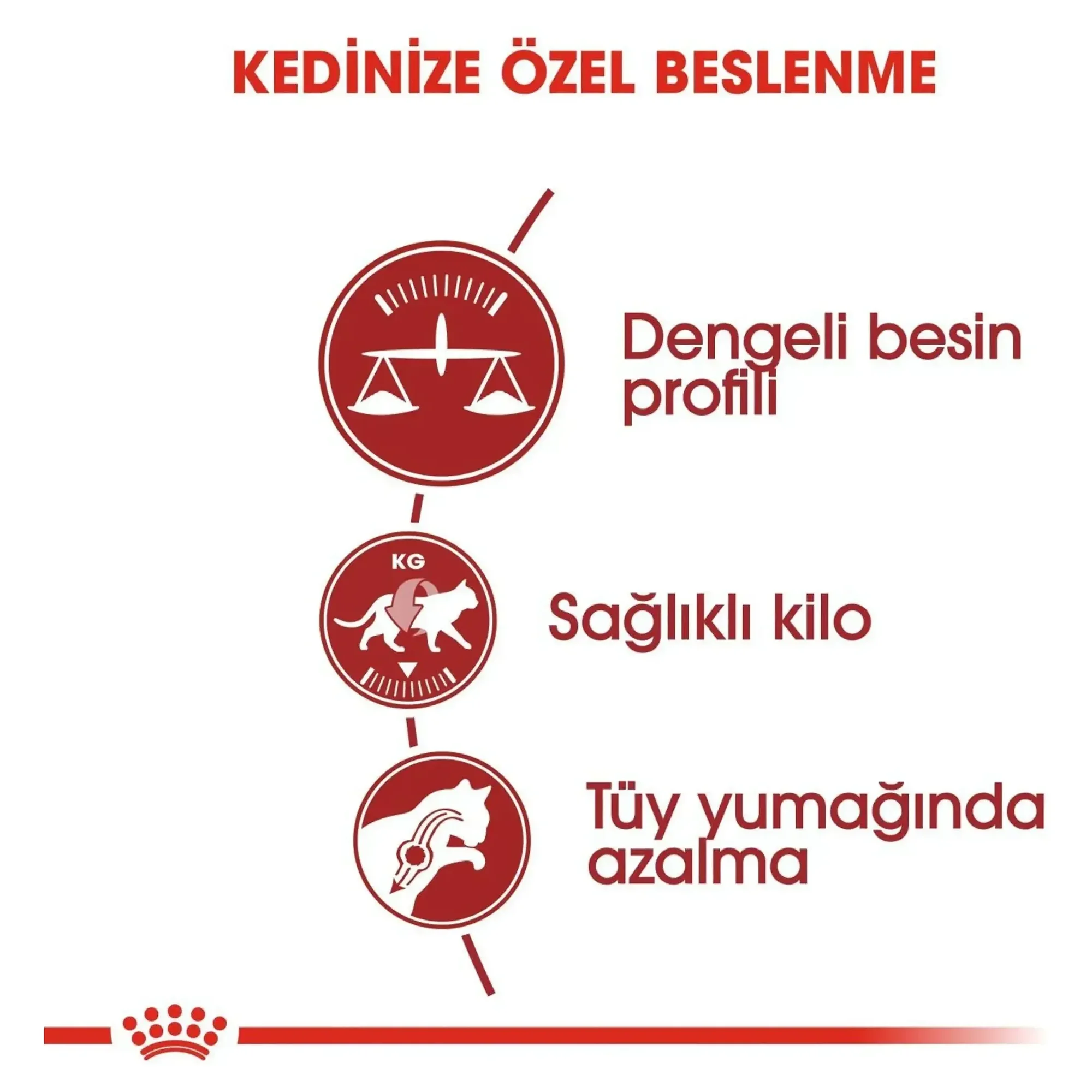 Royal Canin Royal Canin Fit 32 Yetişkin Kedi Maması 4 KG — Normal, 4.1 kg — Görsel 4