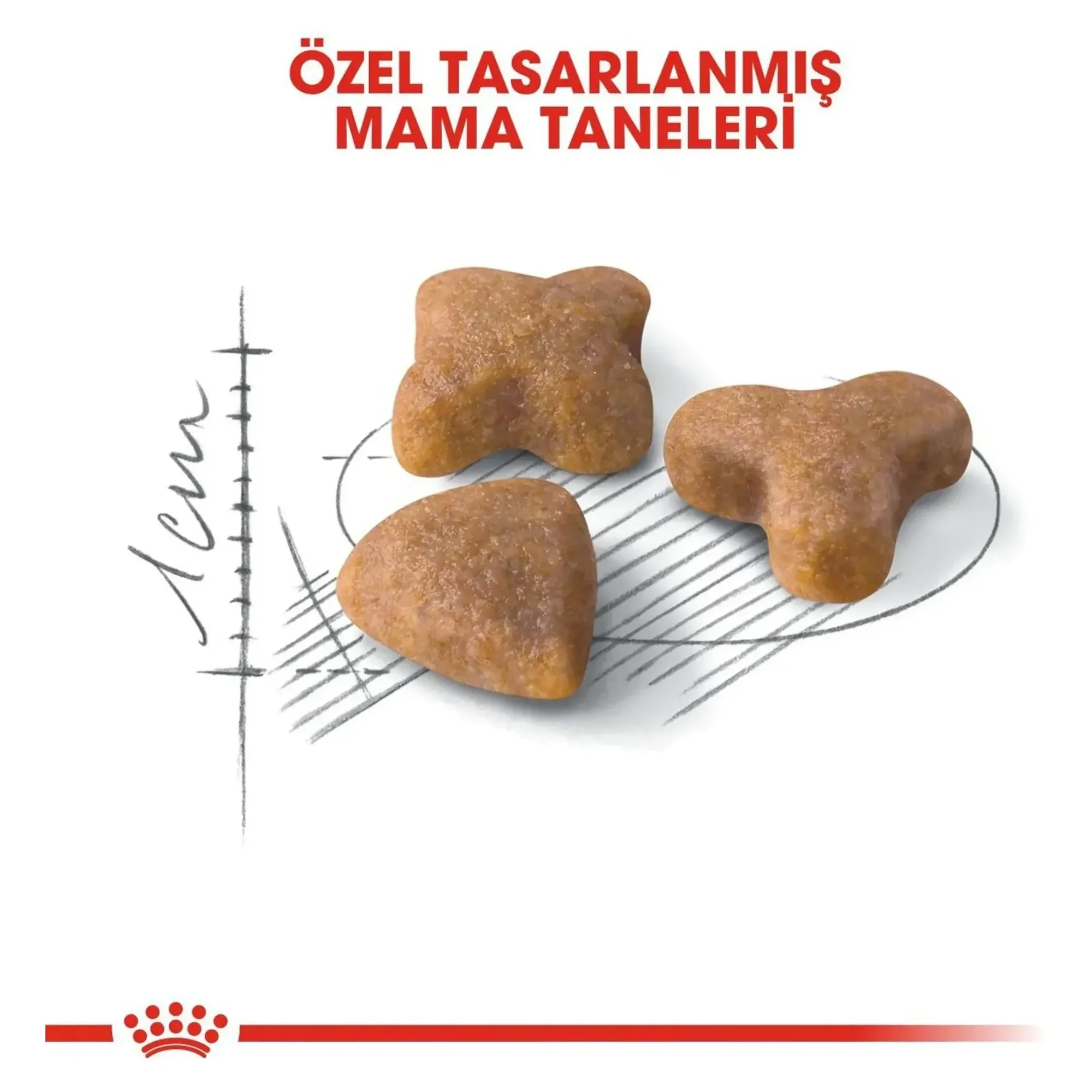 Royal Canin Royal Canin Sensible 33 Hassas Sindirim Sistemi İçin Yetişkin Kedi Maması 400 G — 450 g — Görsel 4