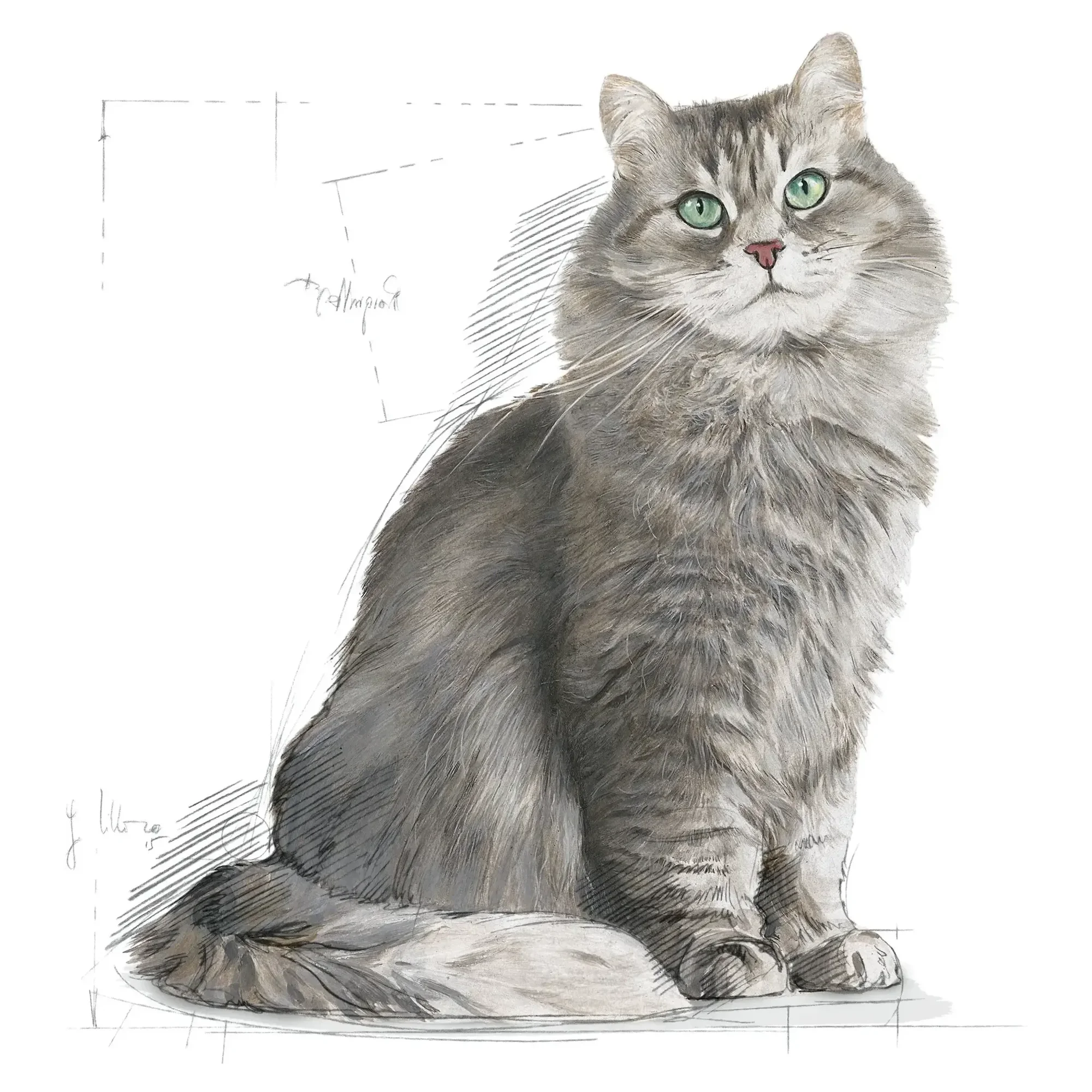 Royal Canin Royal Canin Sensible 33 Hassas Sindirim Sistemi Destekleyici Kedi Maması 2 KG — 2 kg — Görsel 3