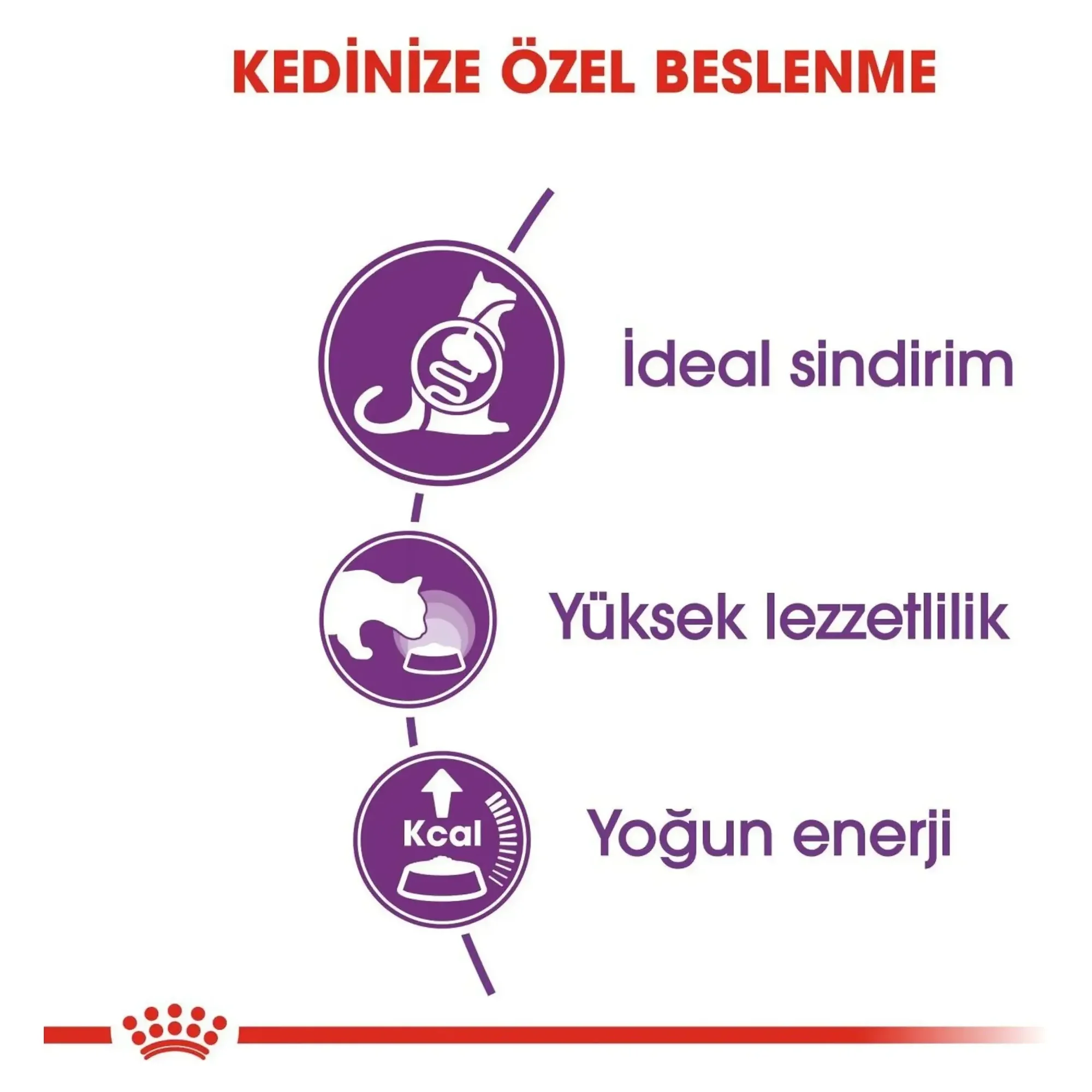 Royal Canin Royal Canin Sensible 33 Hassas Sindirim Sistemi Destekleyici Kedi Maması 4 KG — 4.1 kg — Görsel 5