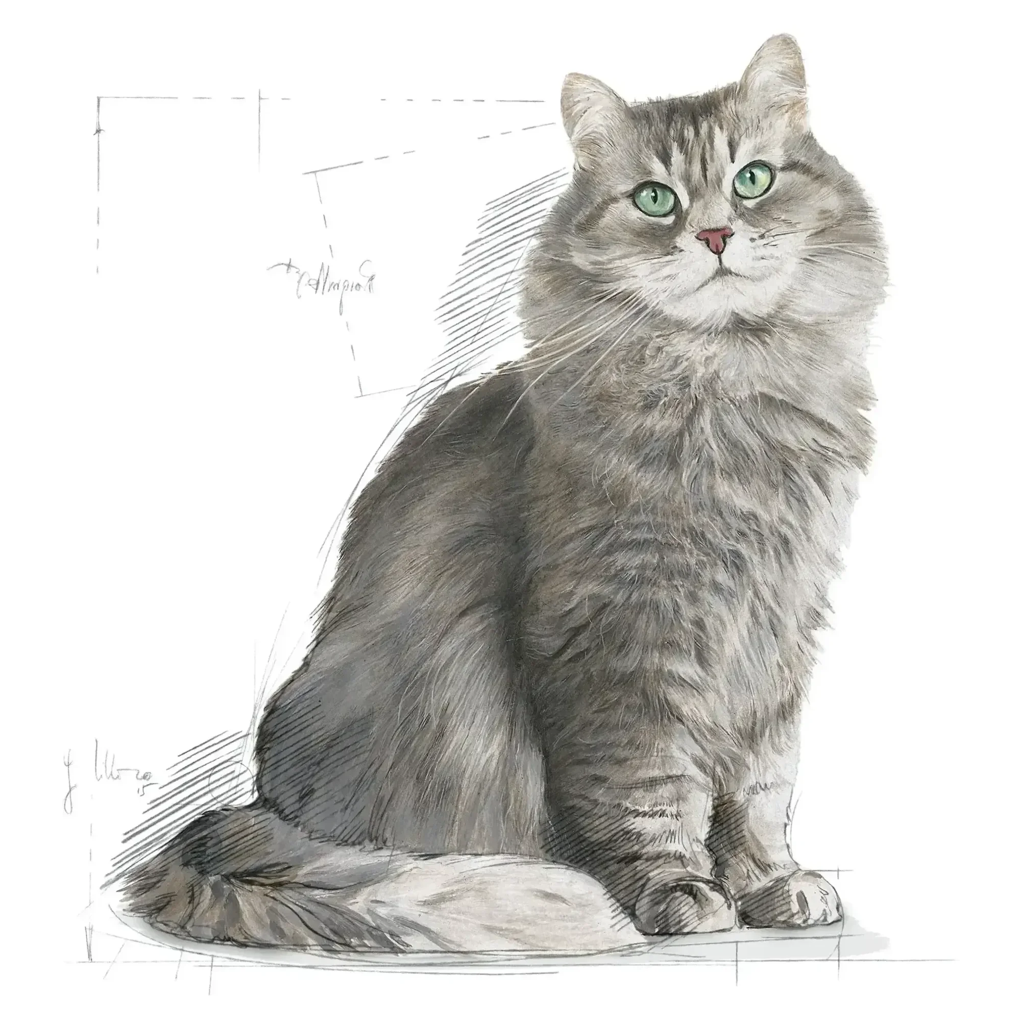 Royal Canin Royal Canin Sensible 33 Hassas Sindirim Sistemi İçin Yetişkin Kedi Maması 10 KG — 10.1 kg — Görsel 3