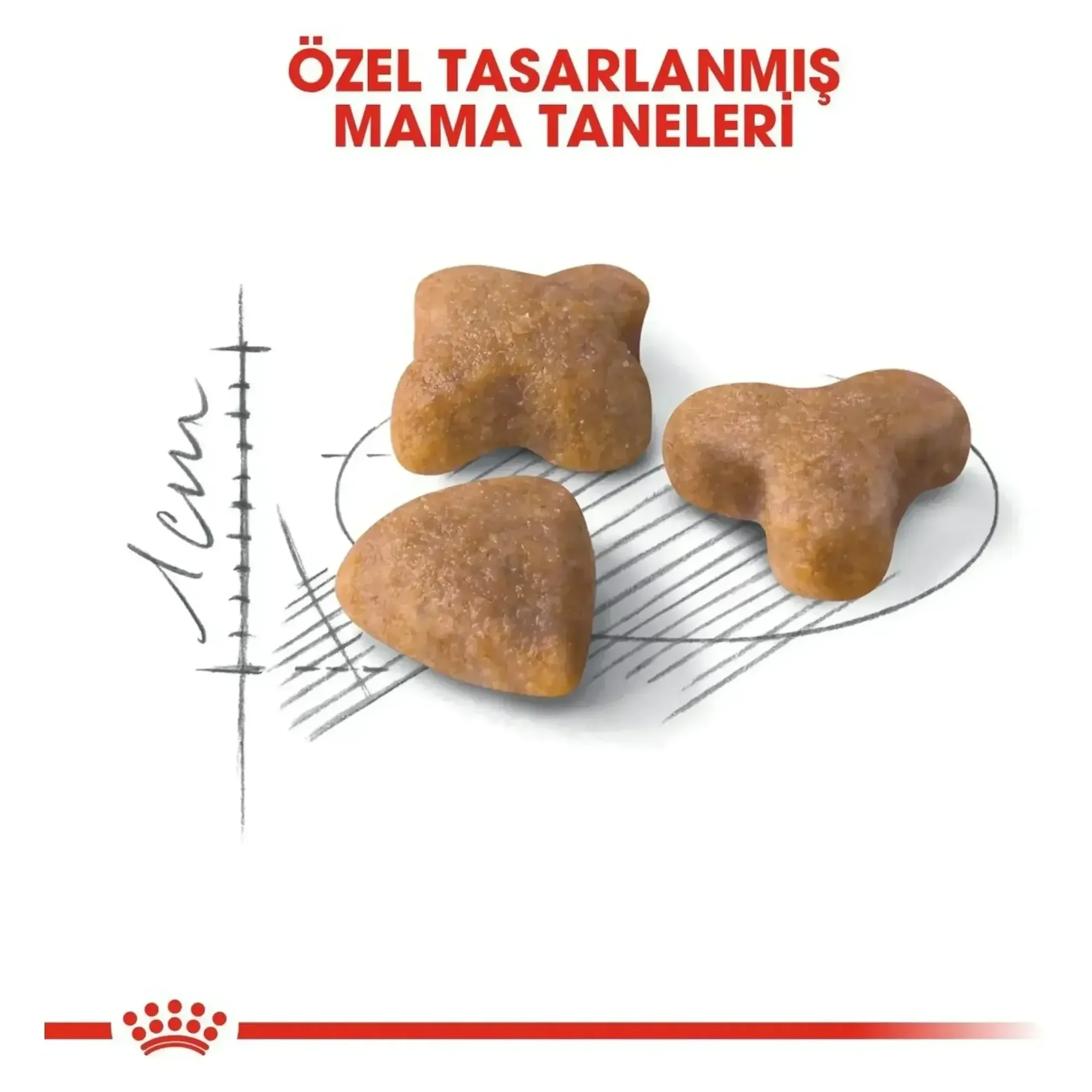 Royal Canin Royal Canin Sensible 33 Hassas Sindirim Sistemi İçin Yetişkin Kedi Maması 10 KG — 10.1 kg — Görsel 4