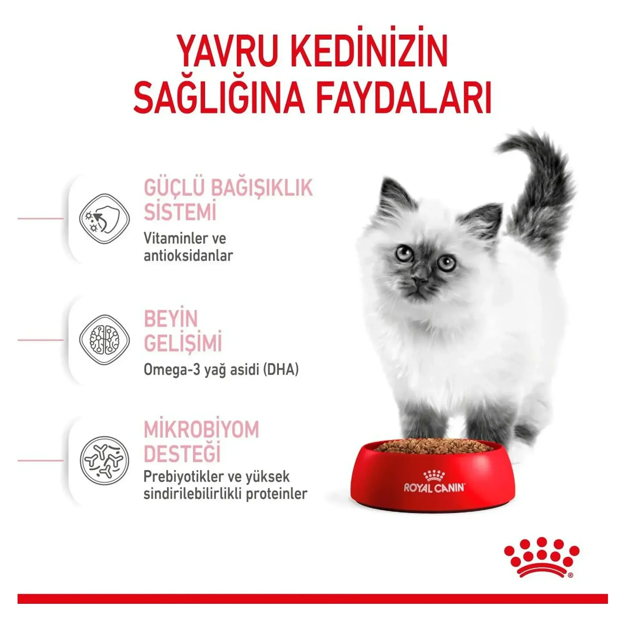 Royal Canin Royal Canin Kitten 36 Yavru Kedi Maması 2 KG — Normal, 2.1 kg — Görsel 4