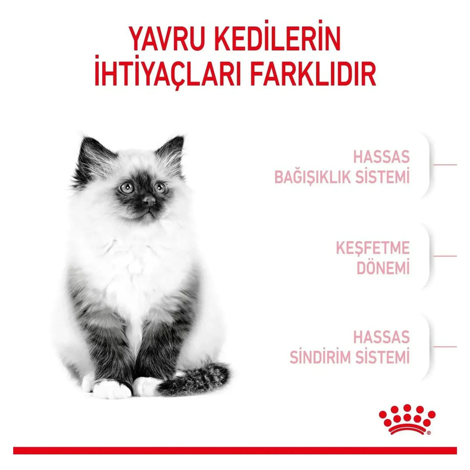 Royal Canin Royal Canin Kitten 36 Yavru Kedi Maması 2 KG — Normal, 2.1 kg — Görsel 5