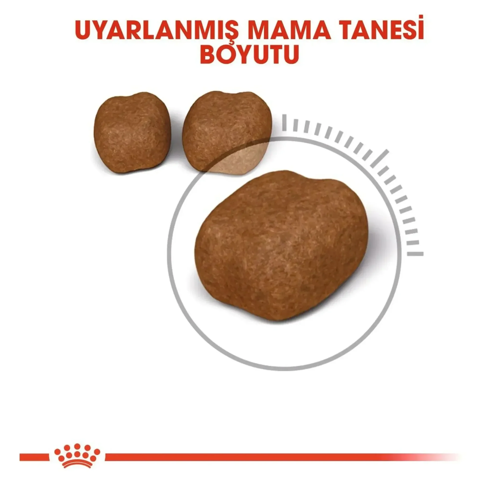 Royal Canin Royal Canin Oral Care Diş Sağlığına Özel Yetişkin Kedi Maması 1.5 KG — Hassas Sindirim, 1.6 kg — Görsel 4