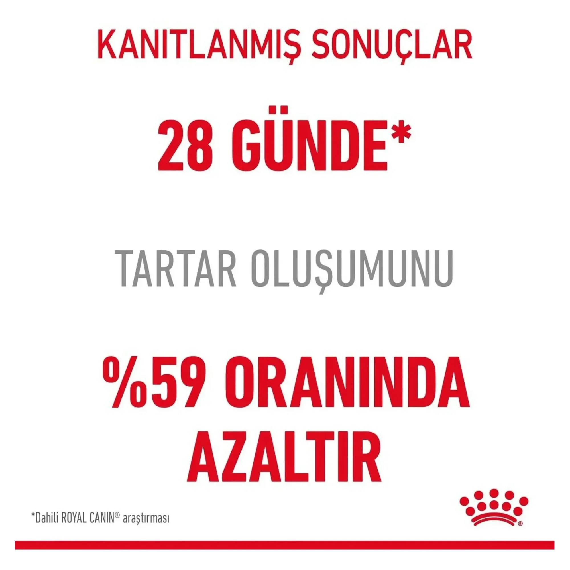 Royal Canin Royal Canin Oral Care Diş Sağlığına Özel Yetişkin Kedi Maması 1.5 KG — Hassas Sindirim, 1.6 kg — Görsel 5