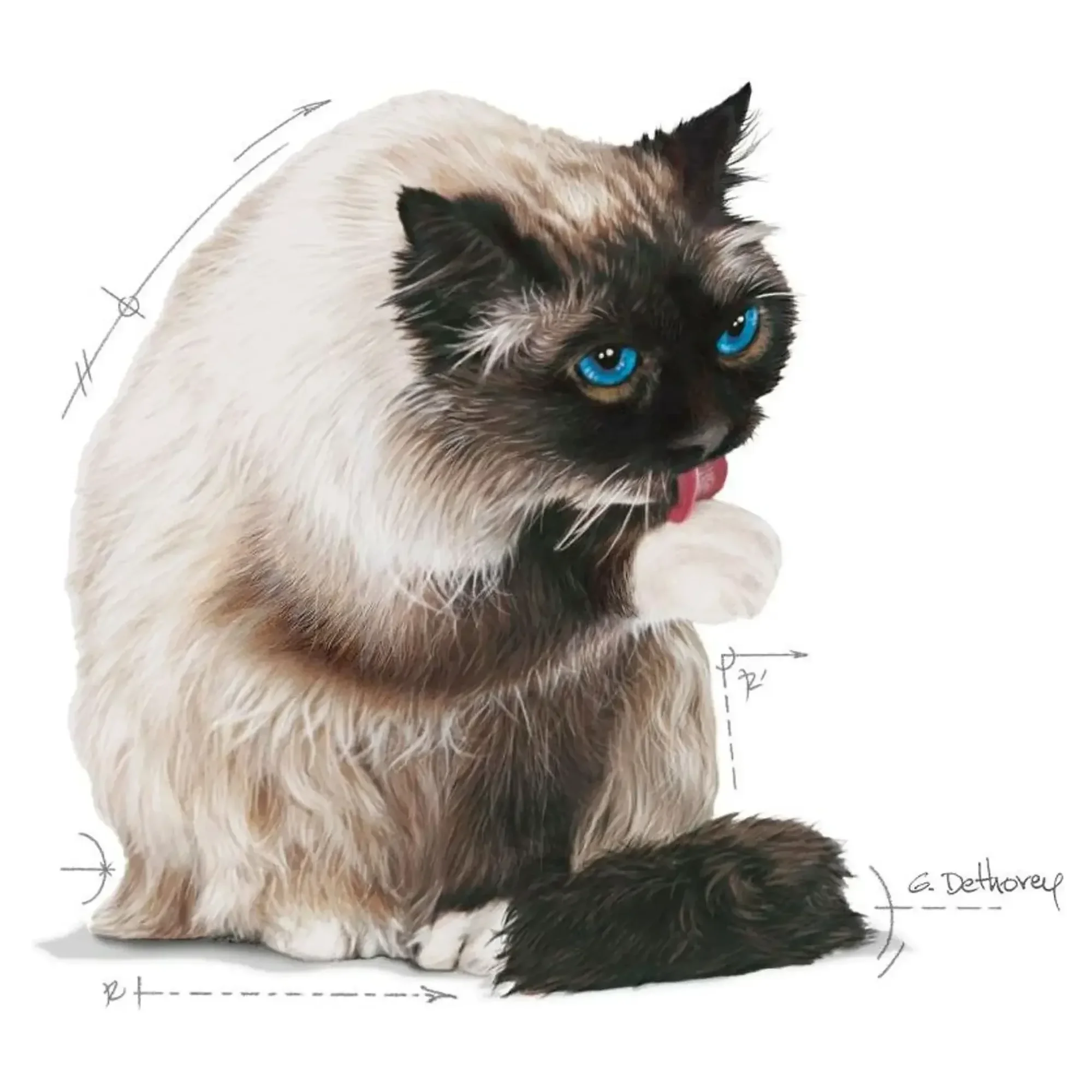 Royal Canin Royal Canin Hairball Tüy Yumağı Kontrollü Yetişkin Kedi Maması 2 KG — Hassas Sindirim, 2.1 kg — Görsel 3