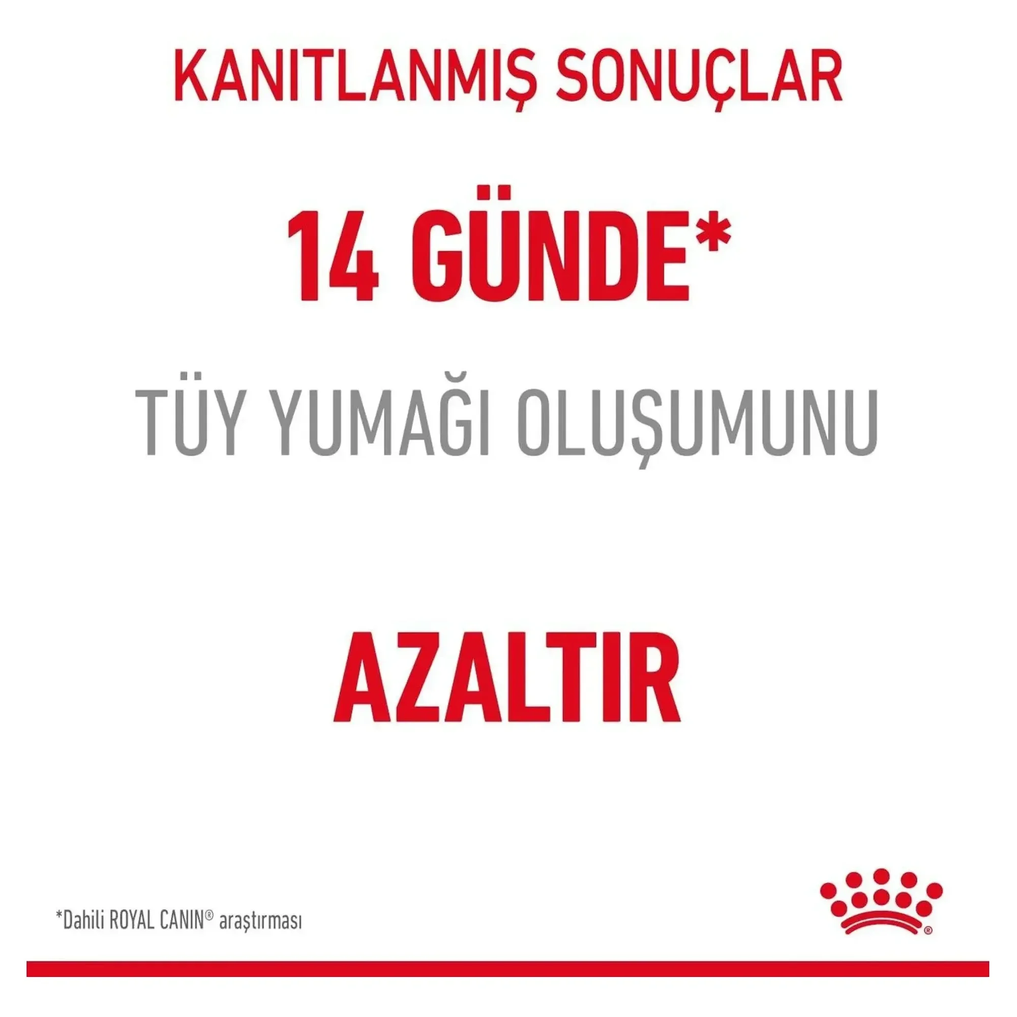Royal Canin Royal Canin Hairball Tüy Yumağı Kontrollü Yetişkin Kedi Maması 2 KG — Hassas Sindirim, 2.1 kg — Görsel 4
