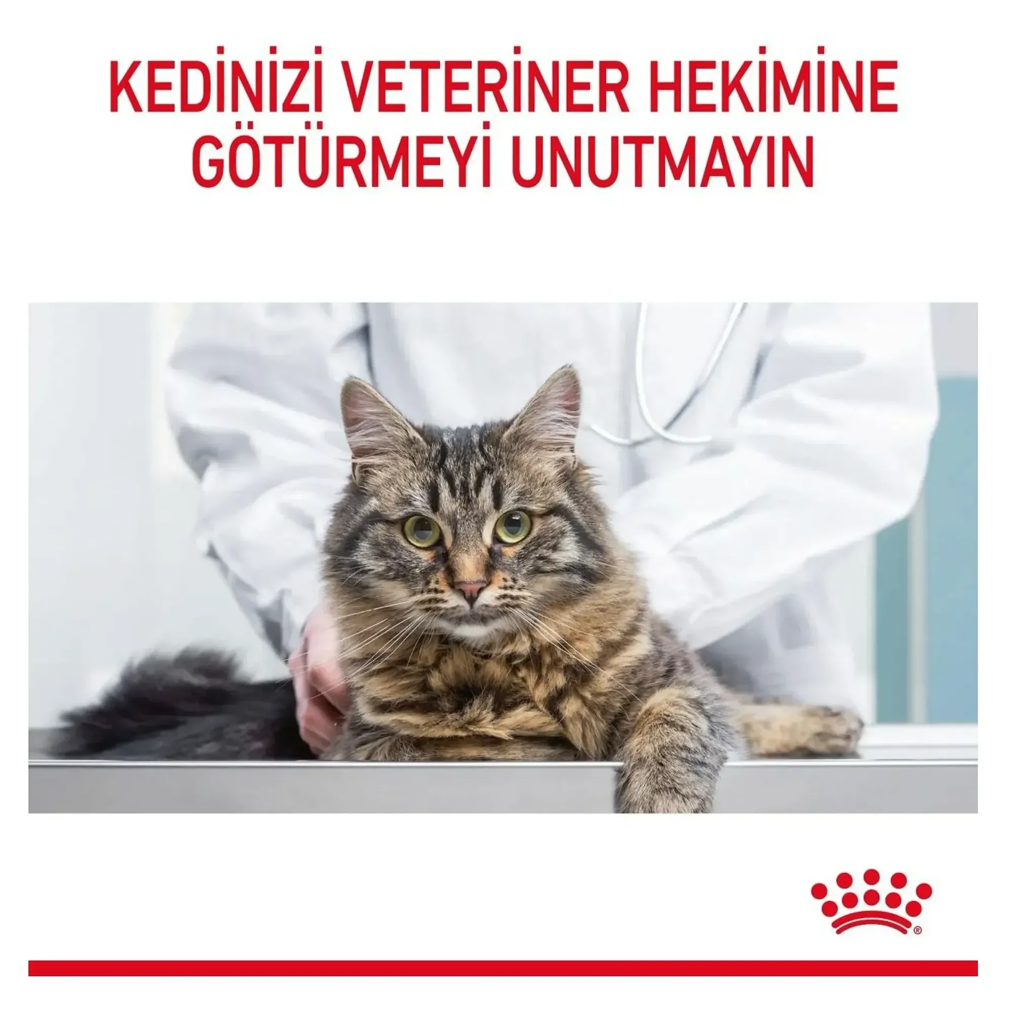 Royal Canin Royal Canin Hairball Tüy Yumağı Kontrollü Yetişkin Kedi Maması 2 KG — Hassas Sindirim, 2.1 kg — Görsel 6