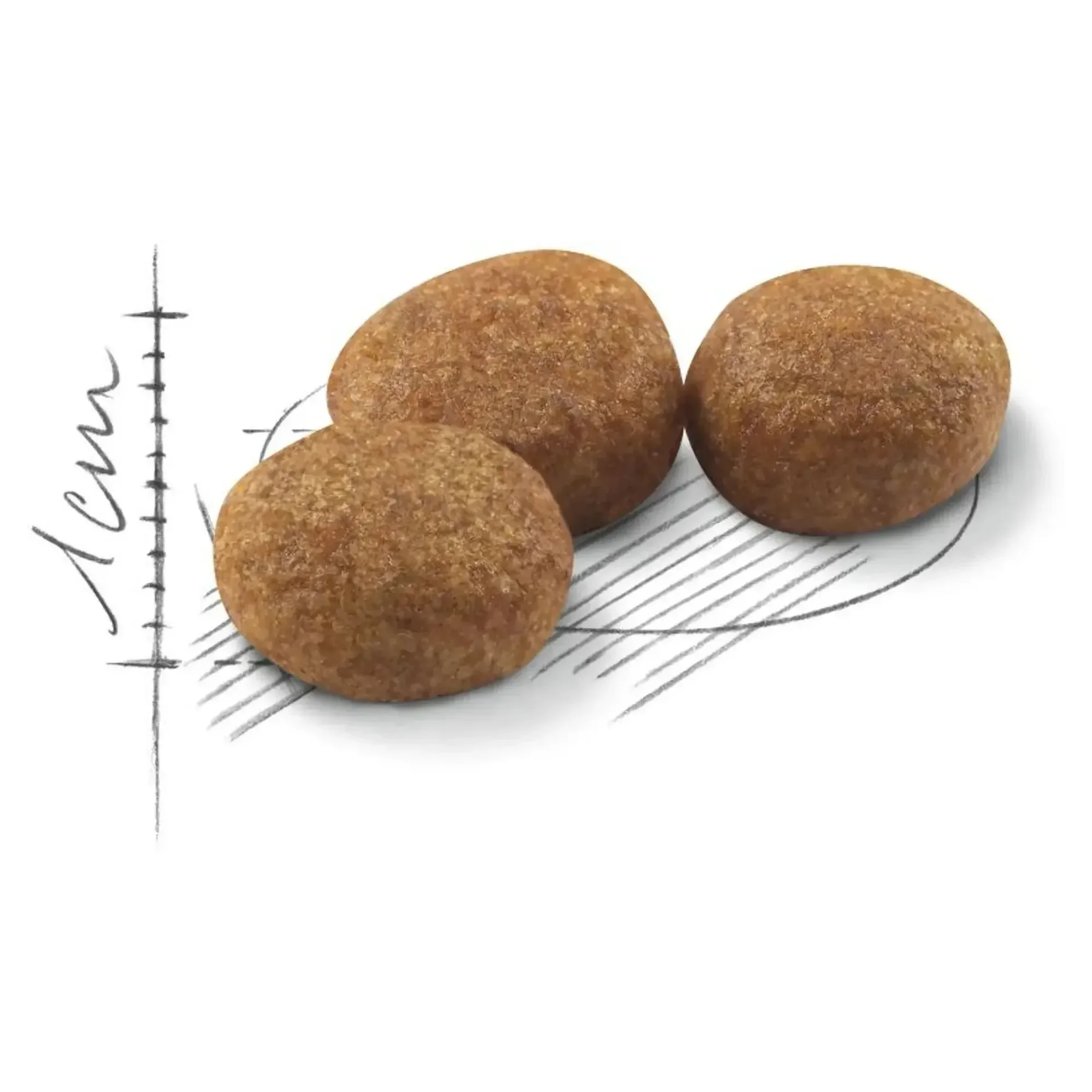 Royal Canin Royal Canin Sterilised 37 Kısırlaştırılmış Yetişkin Kedi Maması 400 G — 415 g — Görsel 2