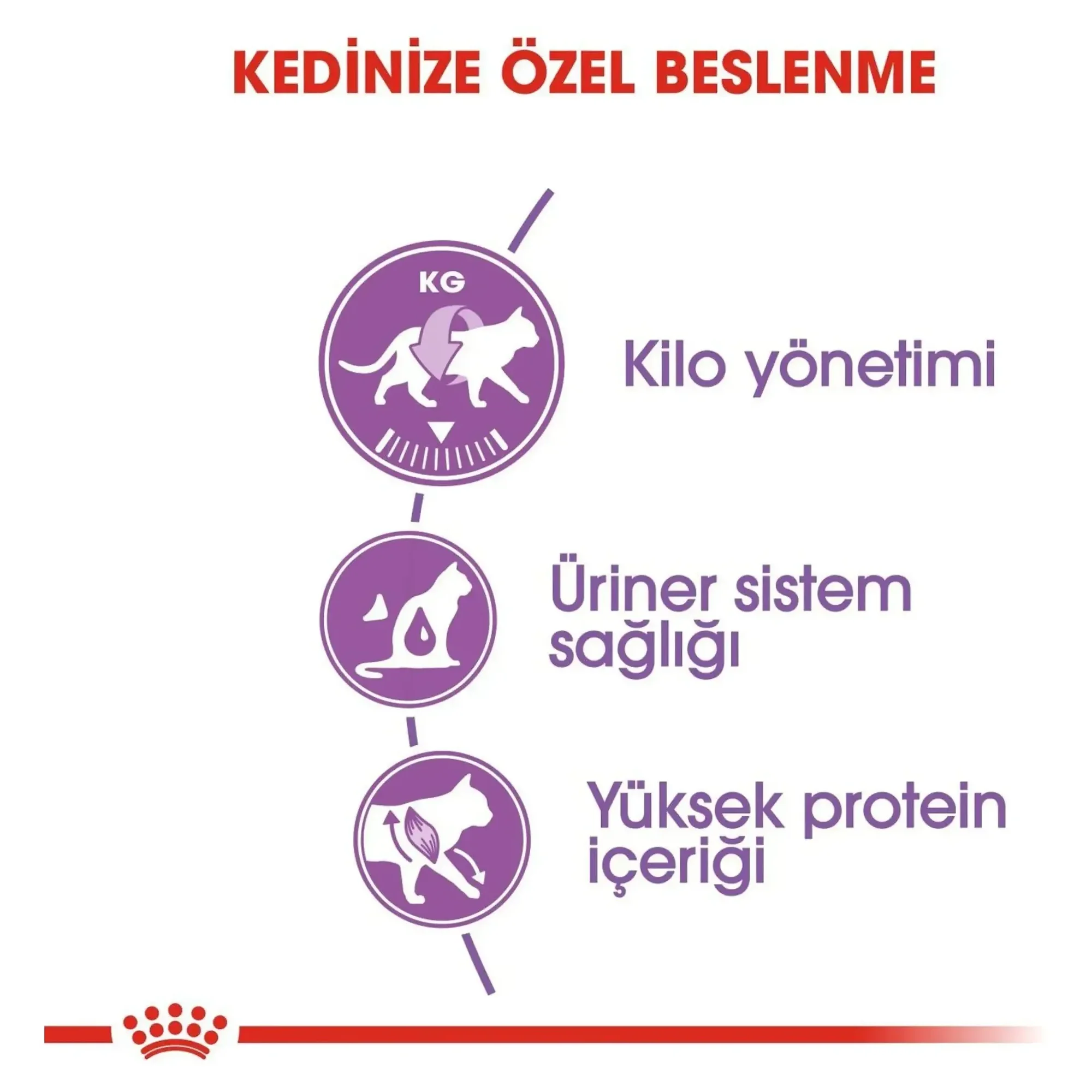 Royal Canin Royal Canin Sterilised 37 Kısırlaştırılmış Yetişkin Kedi Maması 400 G — 415 g — Görsel 3