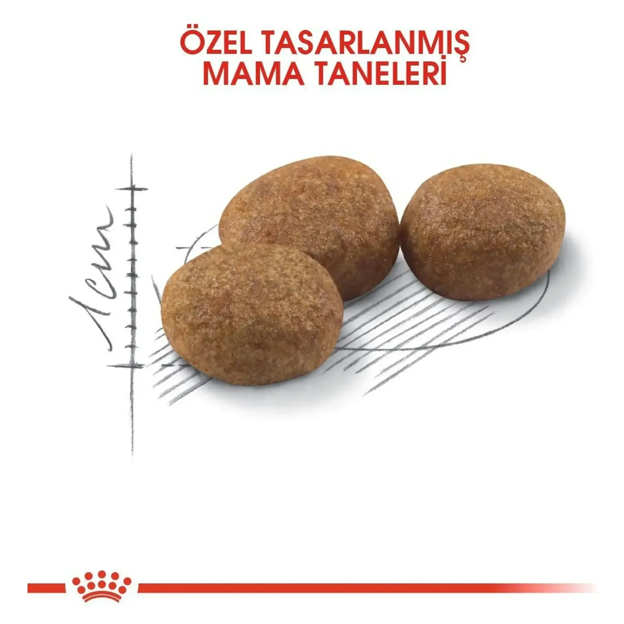 Royal Canin Royal Canin Sterilised 37 Kısırlaştırılmış Yetişkin Kedi Maması 2 KG — 2.1 kg — Görsel 5