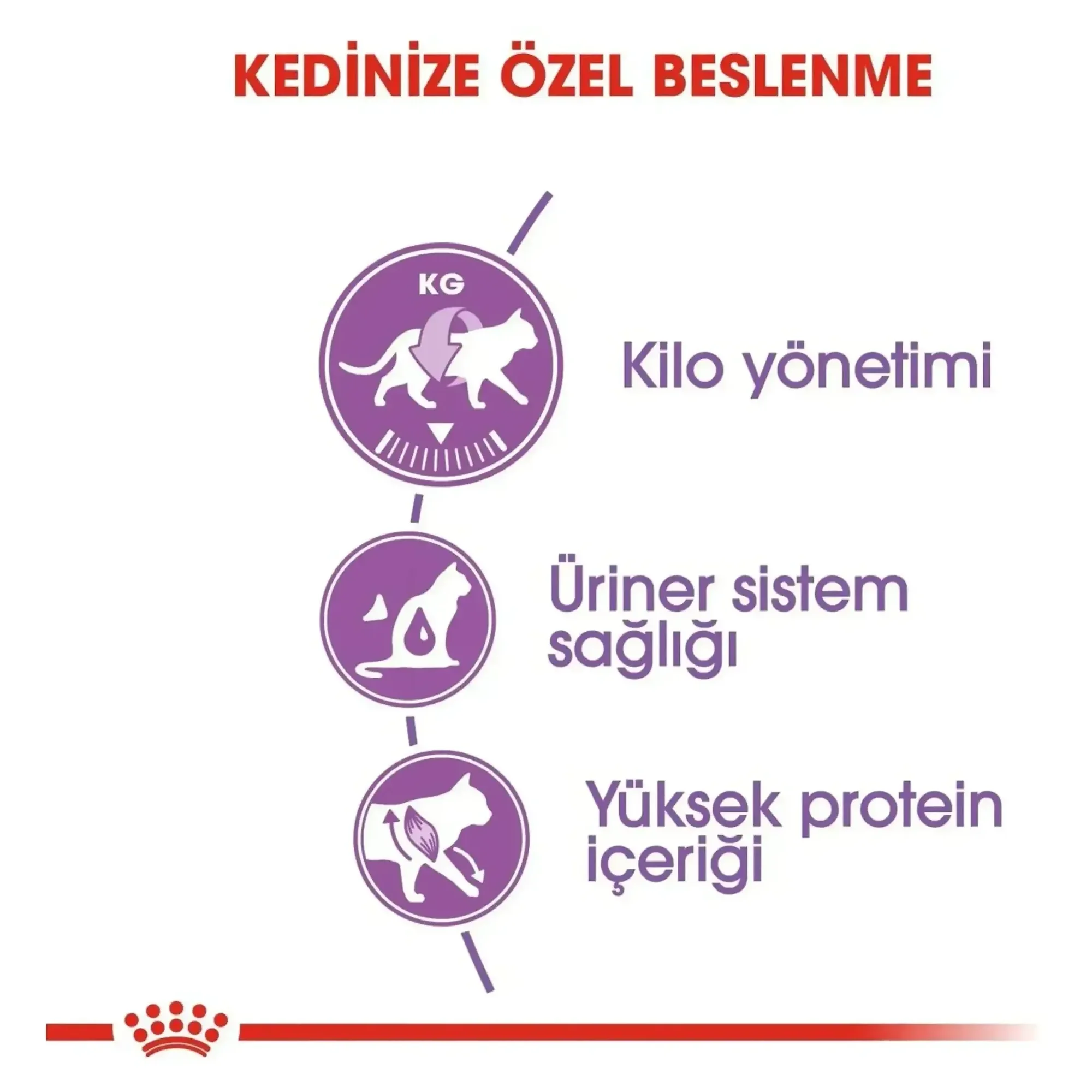 Royal Canin Royal Canin Sterilised 37 Kısırlaştırılmış Yetişkin Kedi Maması 4 KG — 4.2 kg — Görsel 4