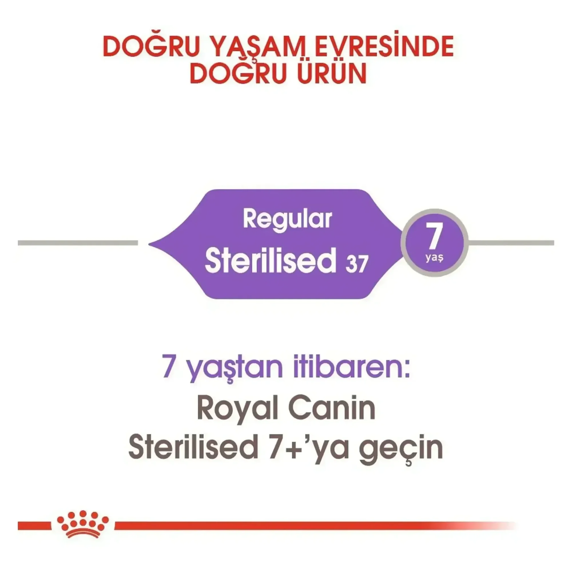 Royal Canin Royal Canin Sterilised 37 Kısırlaştırılmış Yetişkin Kedi Maması 4 KG — 4.2 kg — Görsel 6