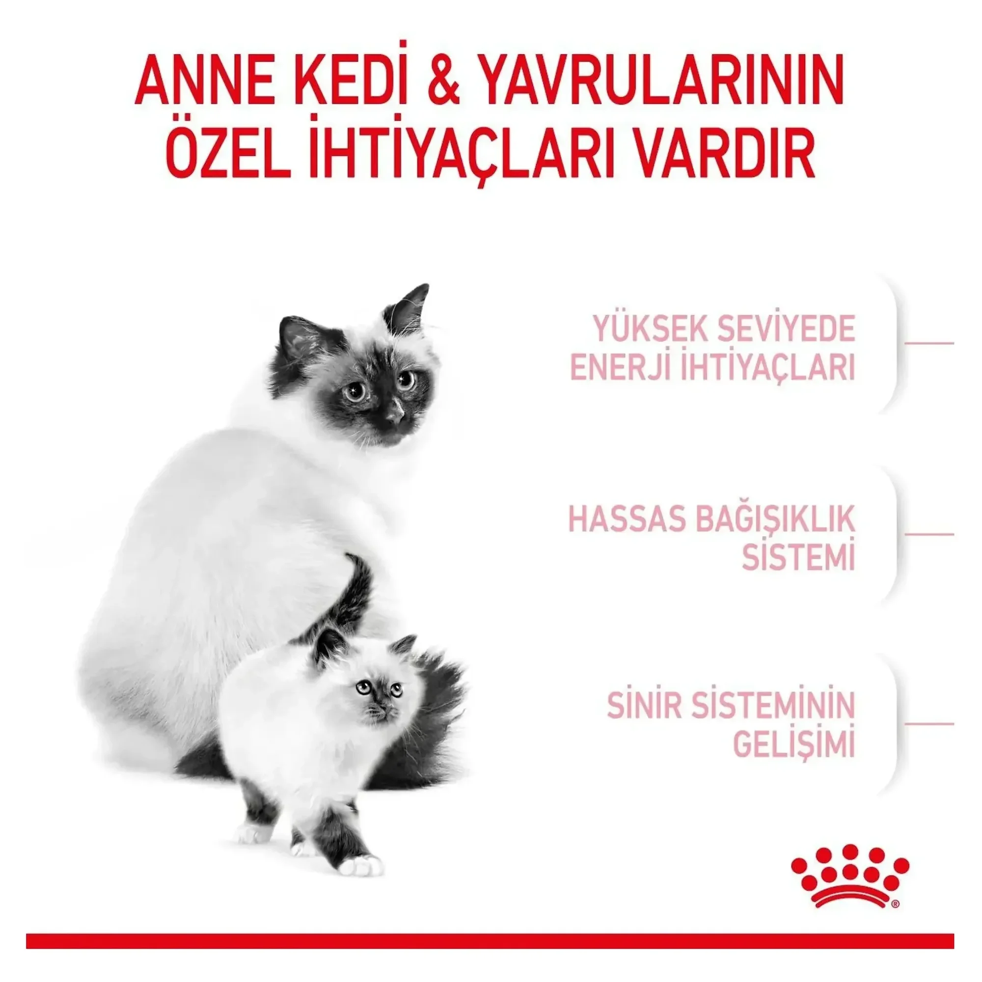 Royal Canin Royal Canin Babycat Yavru Kedi Maması 400 G — Normal, 410 g — Görsel 5
