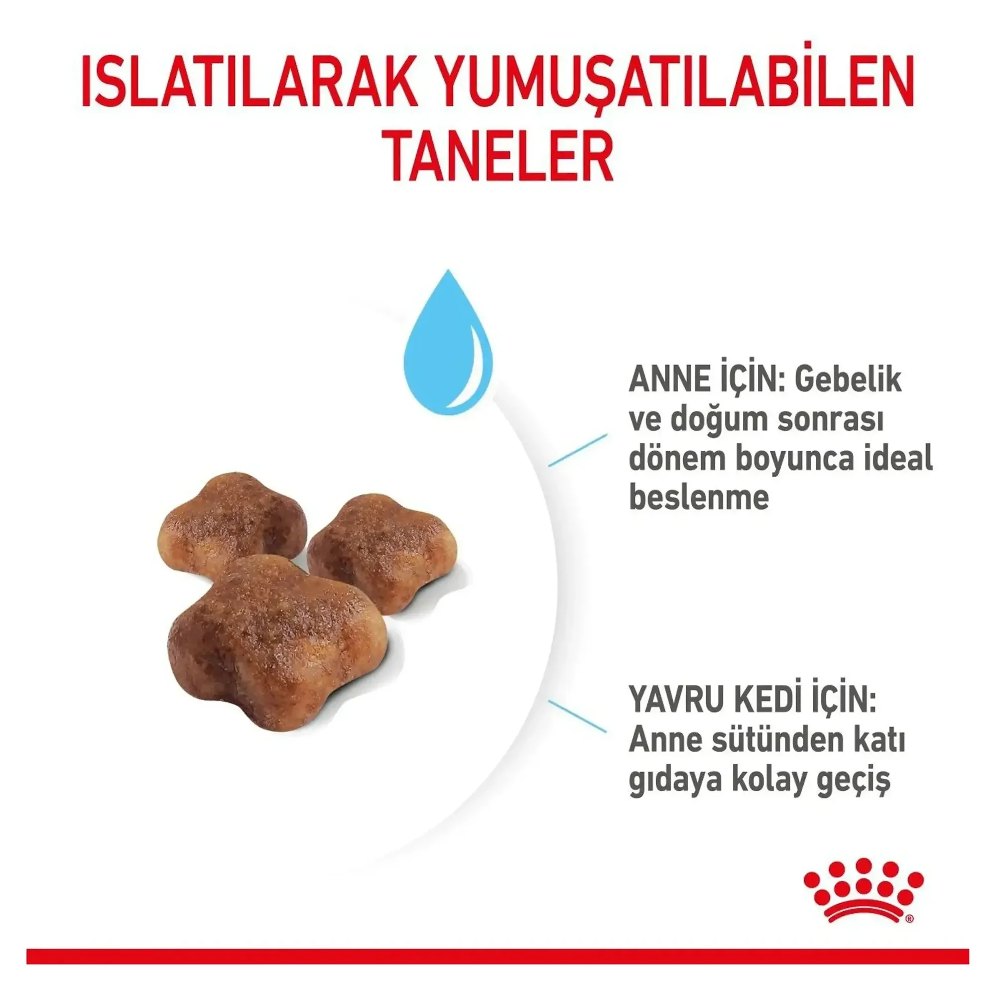 Royal Canin Royal Canin Mother Babycat Anne ve Yavru Kedi Maması 2 KG — Normal, 2.1 kg — Görsel 5