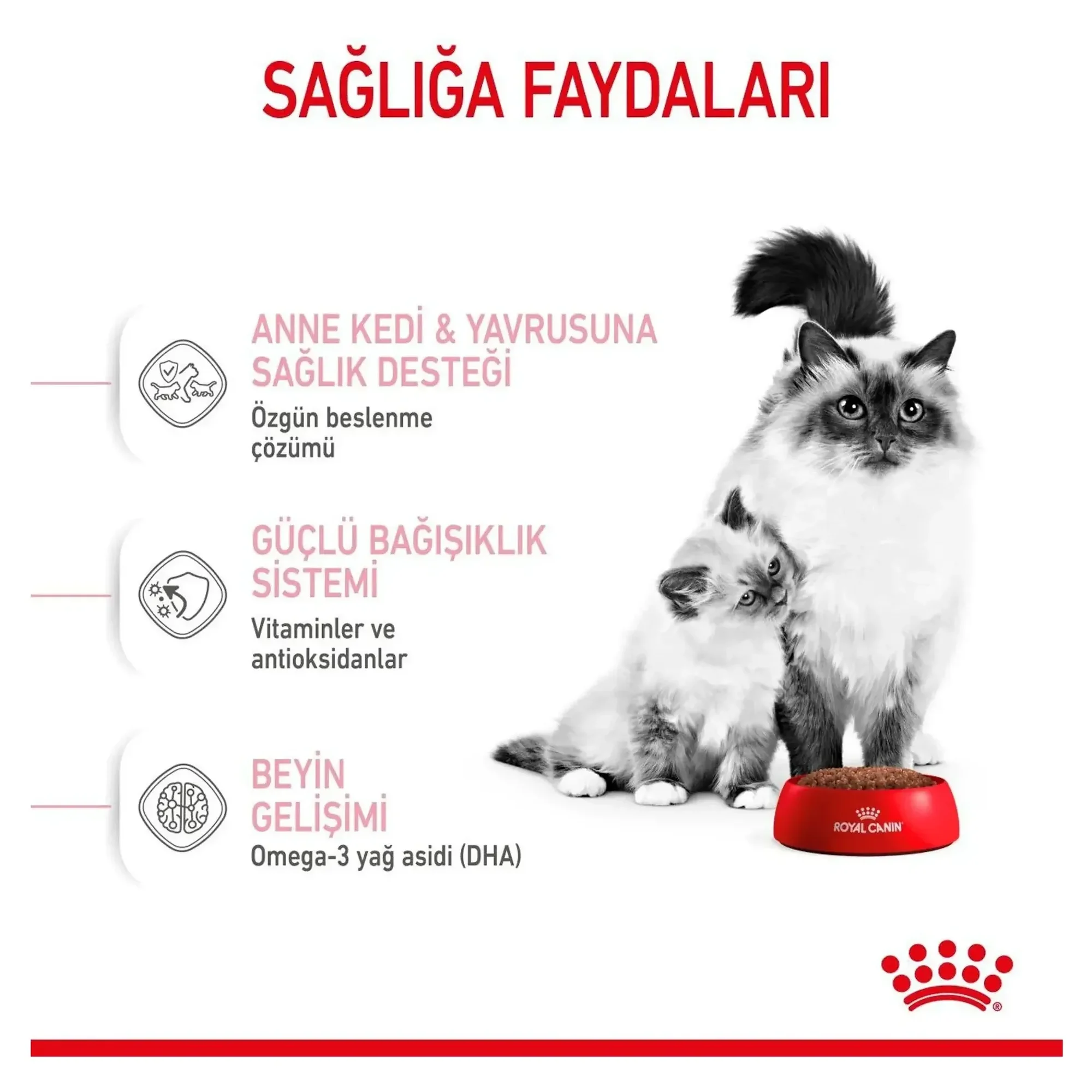 Royal Canin Royal Canin Mother Babycat Anne ve Yavru Kedi Maması 4 KG — Normal, 4.1 kg — Görsel 5
