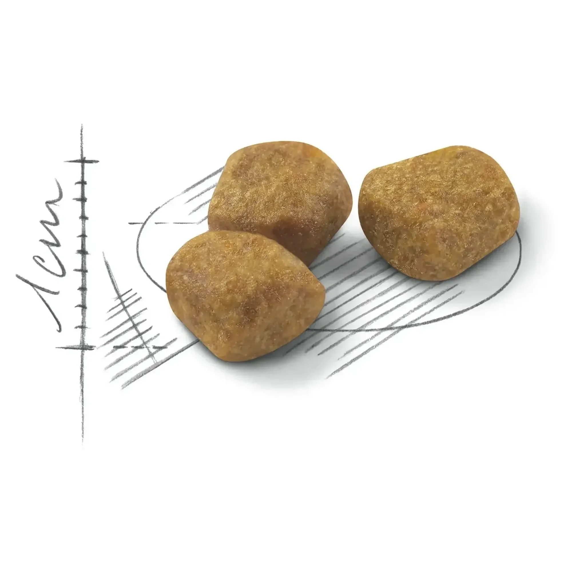 Royal Canin Royal Canin Indoor 7+ Yaş Ev Kedileri İçin Yaşlı Kedi Maması 1.5 KG — Normal, 1.6 kg — Görsel 2