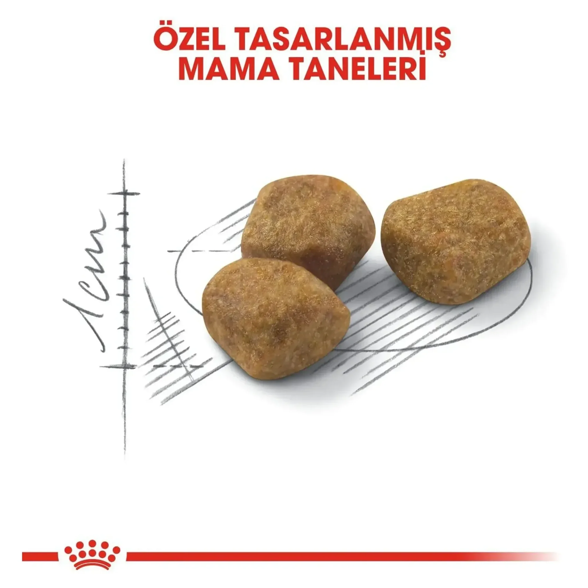 Royal Canin Royal Canin Indoor 7+ Yaş Ev Kedileri İçin Yaşlı Kedi Maması 1.5 KG — Normal, 1.6 kg — Görsel 4