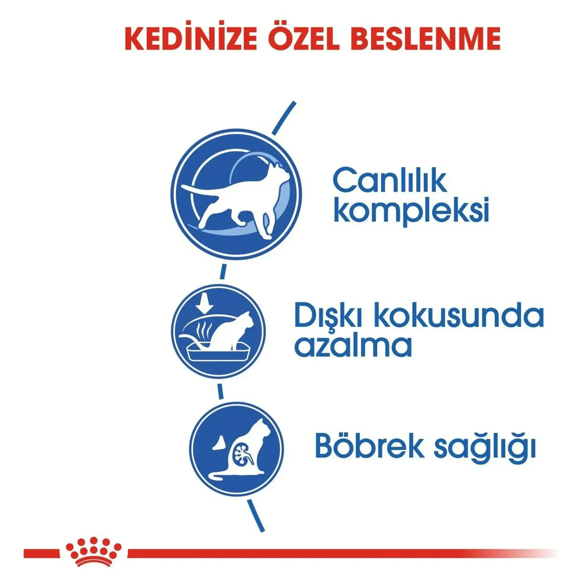 Royal Canin Royal Canin Indoor 7+ Yaş Ev Kedileri İçin Yaşlı Kedi Maması 1.5 KG — Normal, 1.6 kg — Görsel 5