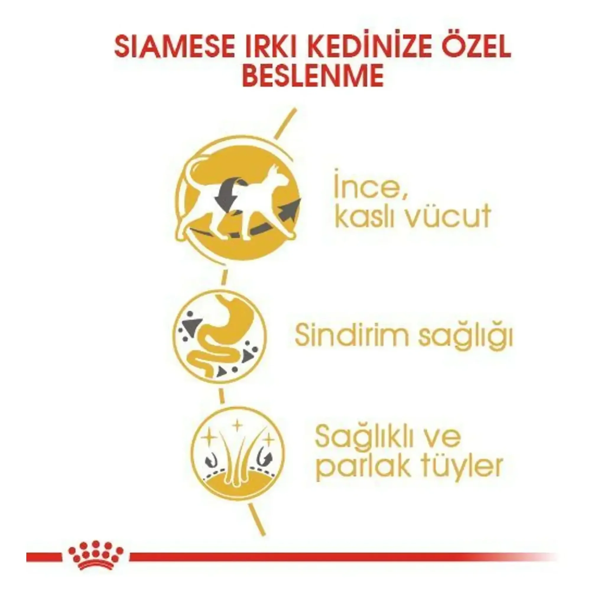 Royal Canin Royal Canin Siamese Yetişkin Siyam Kedi Maması 2 KG — Normal, 2.1 kg — Görsel 4